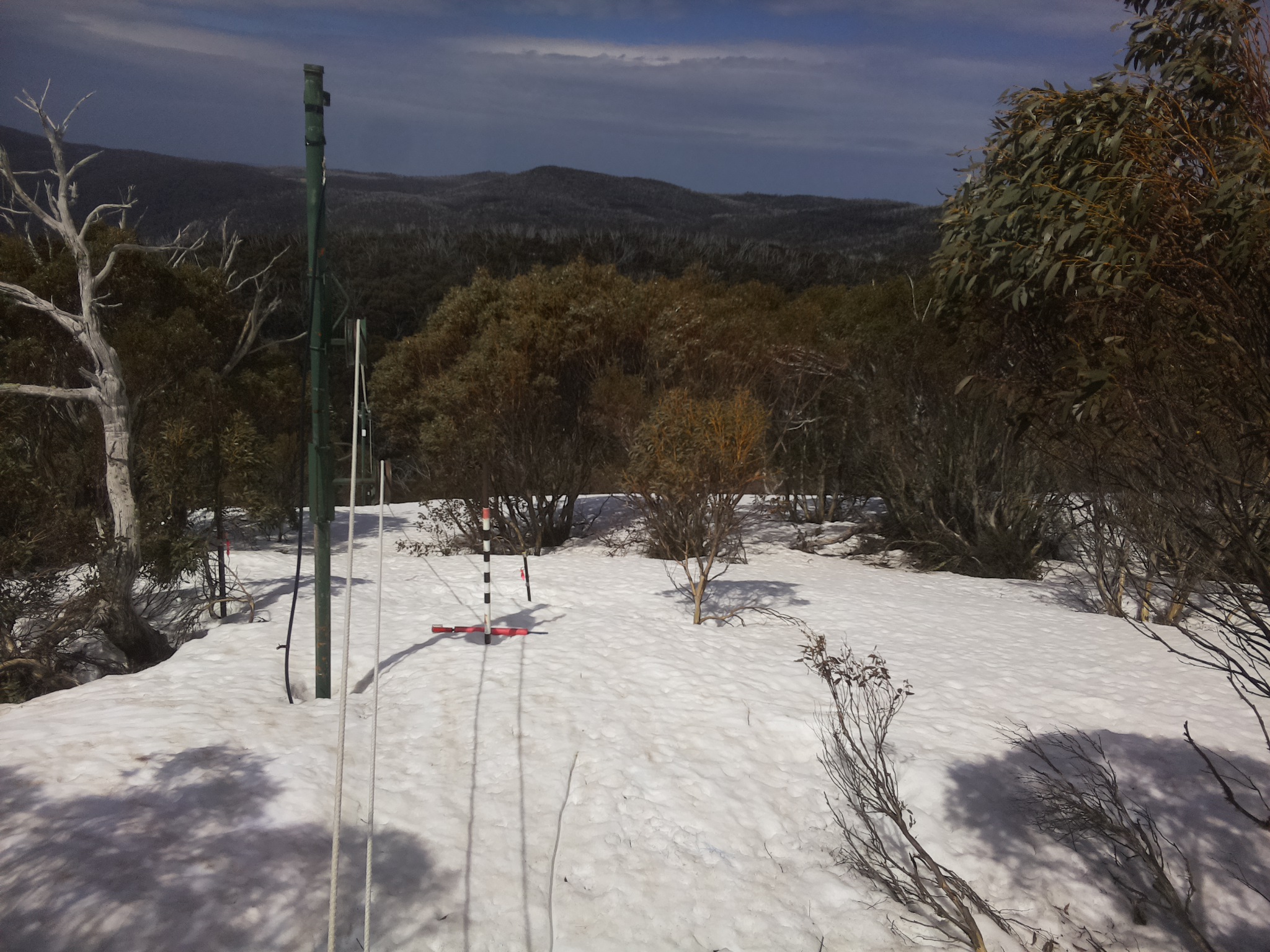 Bogong Web Cam 11:40am Thursday 25th of September 2025