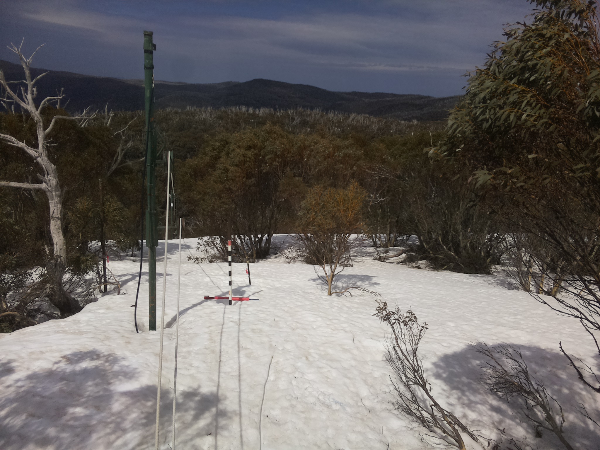 Bogong Web Cam 11:50am Thursday 25th of September 2025