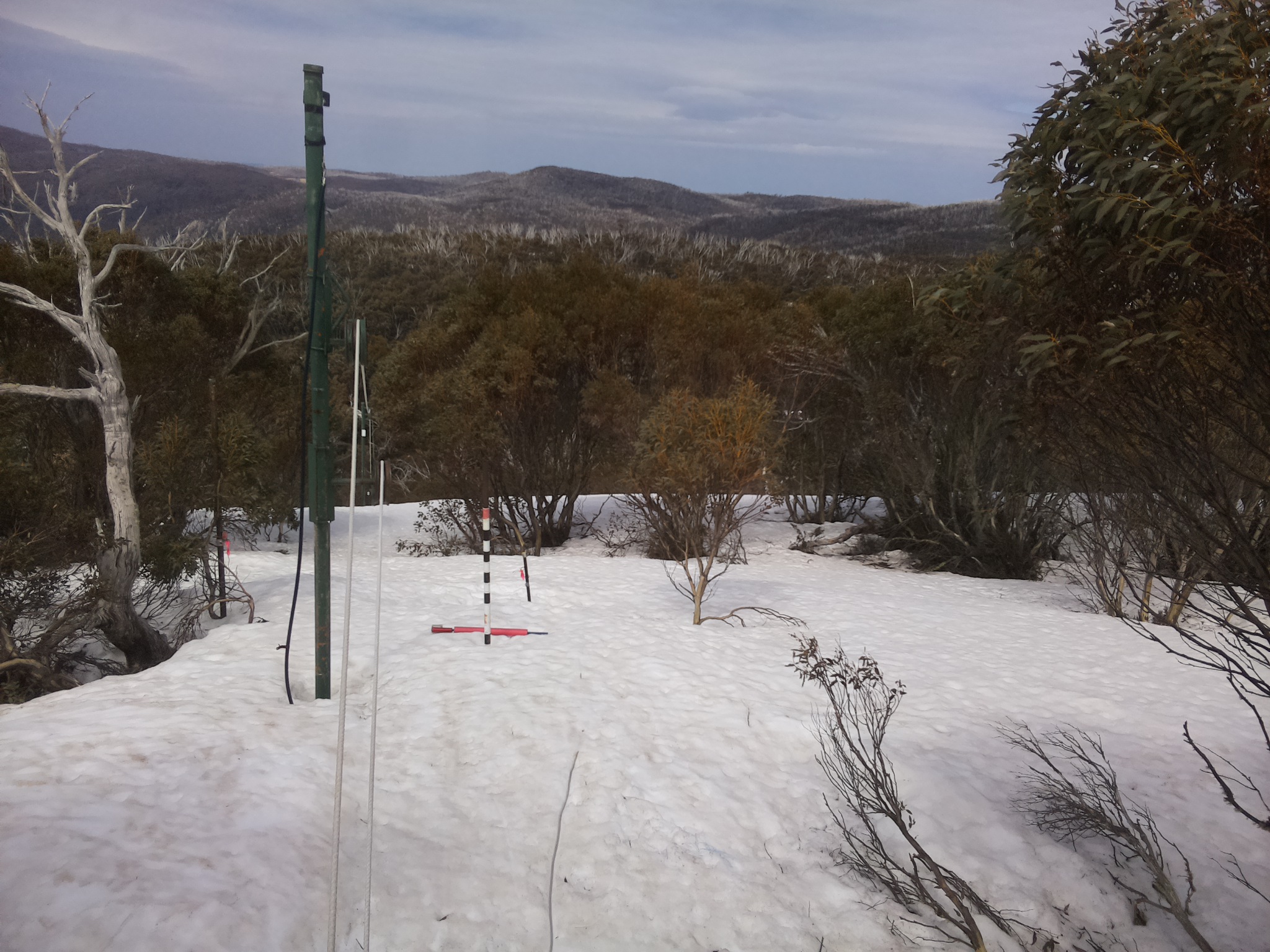 Bogong Web Cam 12:00pm Thursday 25th of September 2025