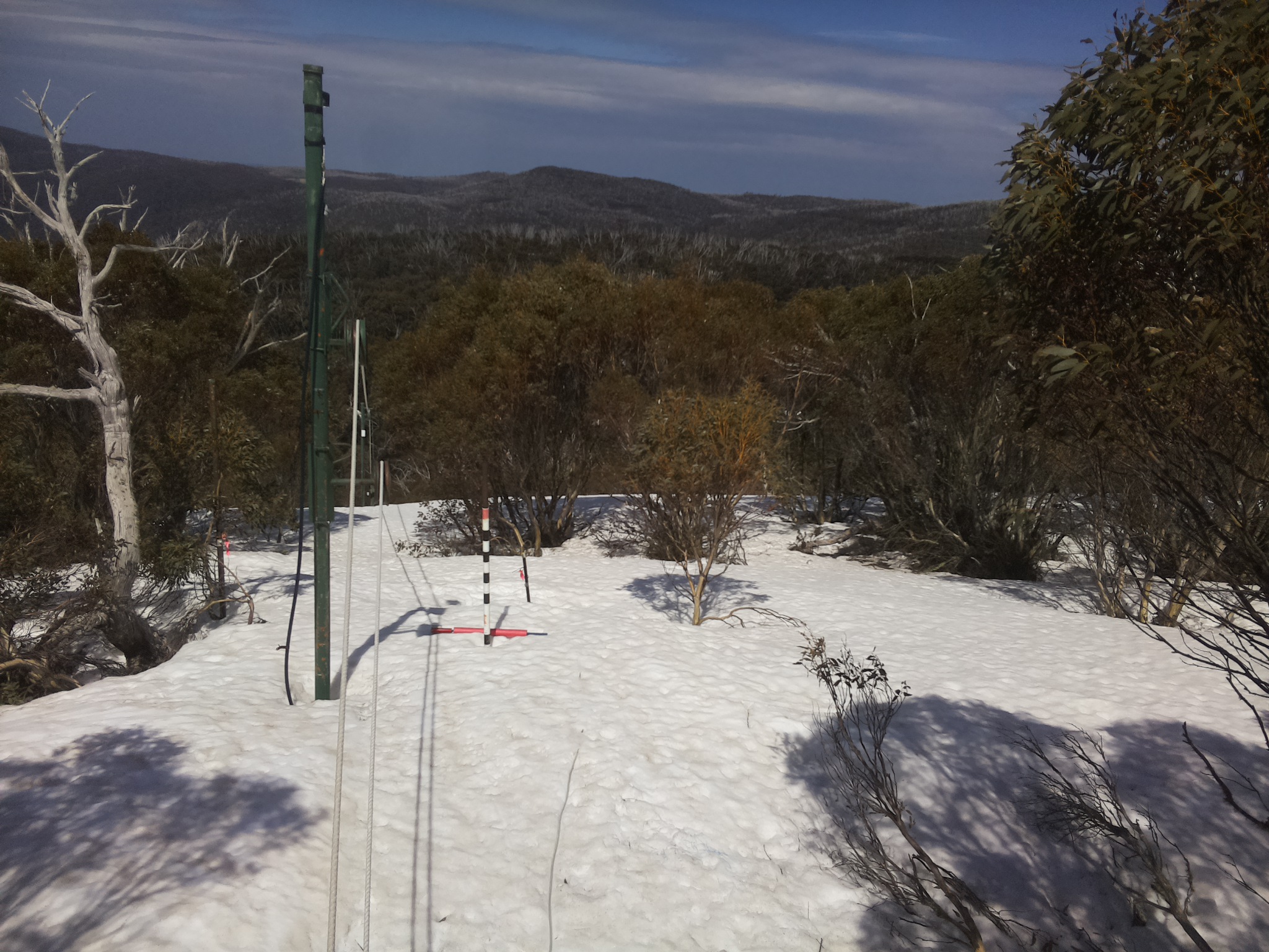Bogong Web Cam 12:40pm Thursday 25th of September 2025