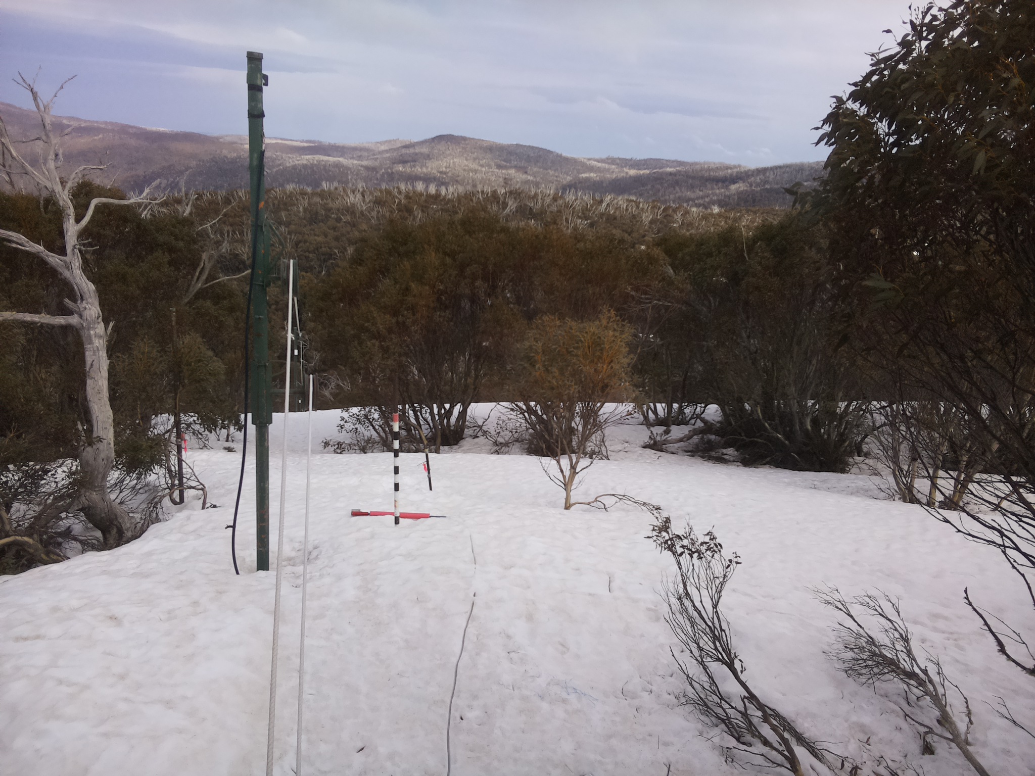 Bogong Web Cam 2:50pm Thursday 25th of September 2025