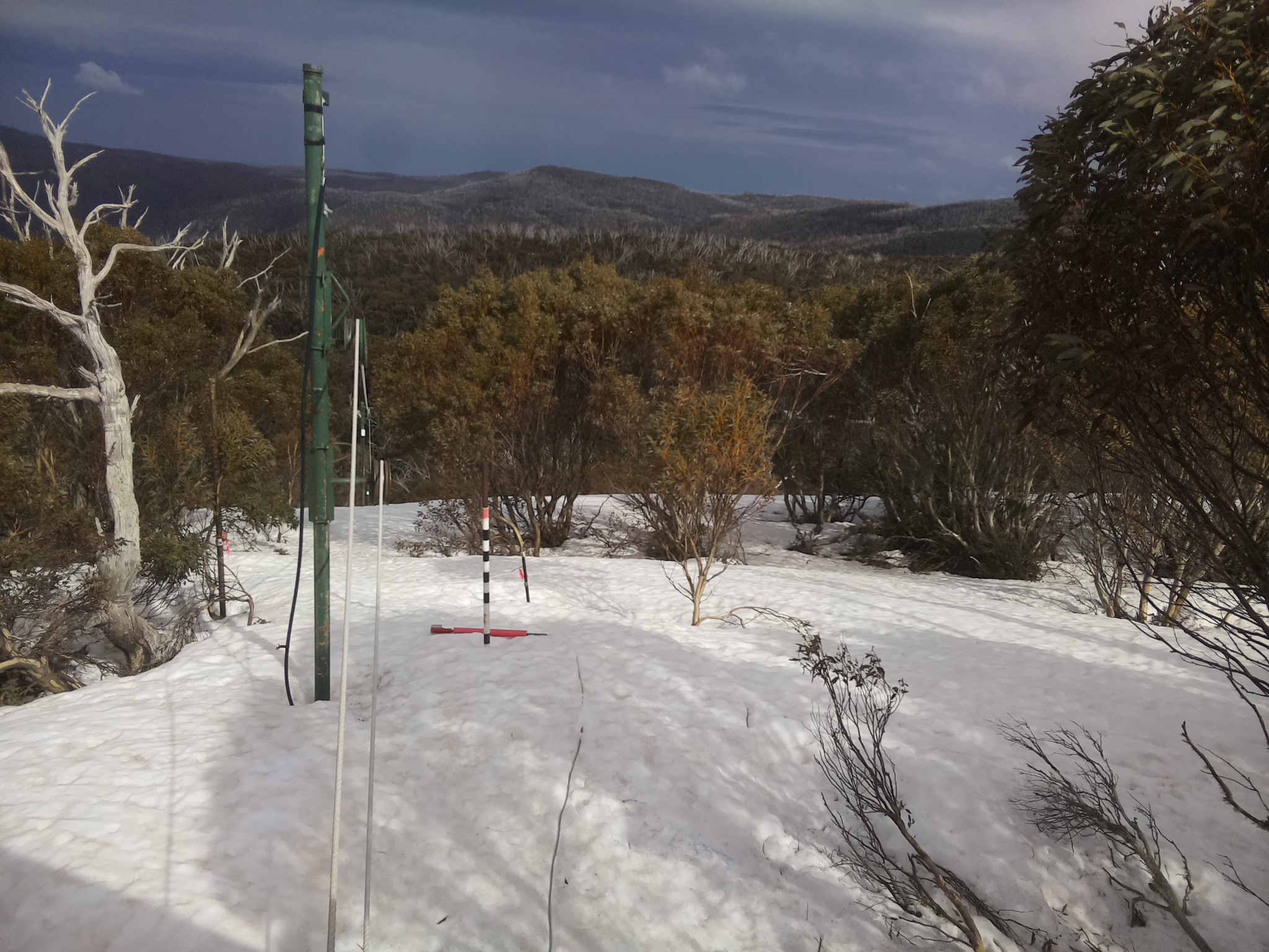 Bogong Web Cam 3:00pm Thursday 25th of September 2025