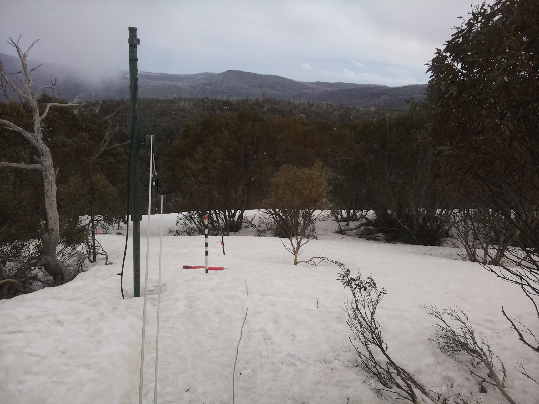 Bogong Web Cam 3:20pm Thursday 25th of September 2025