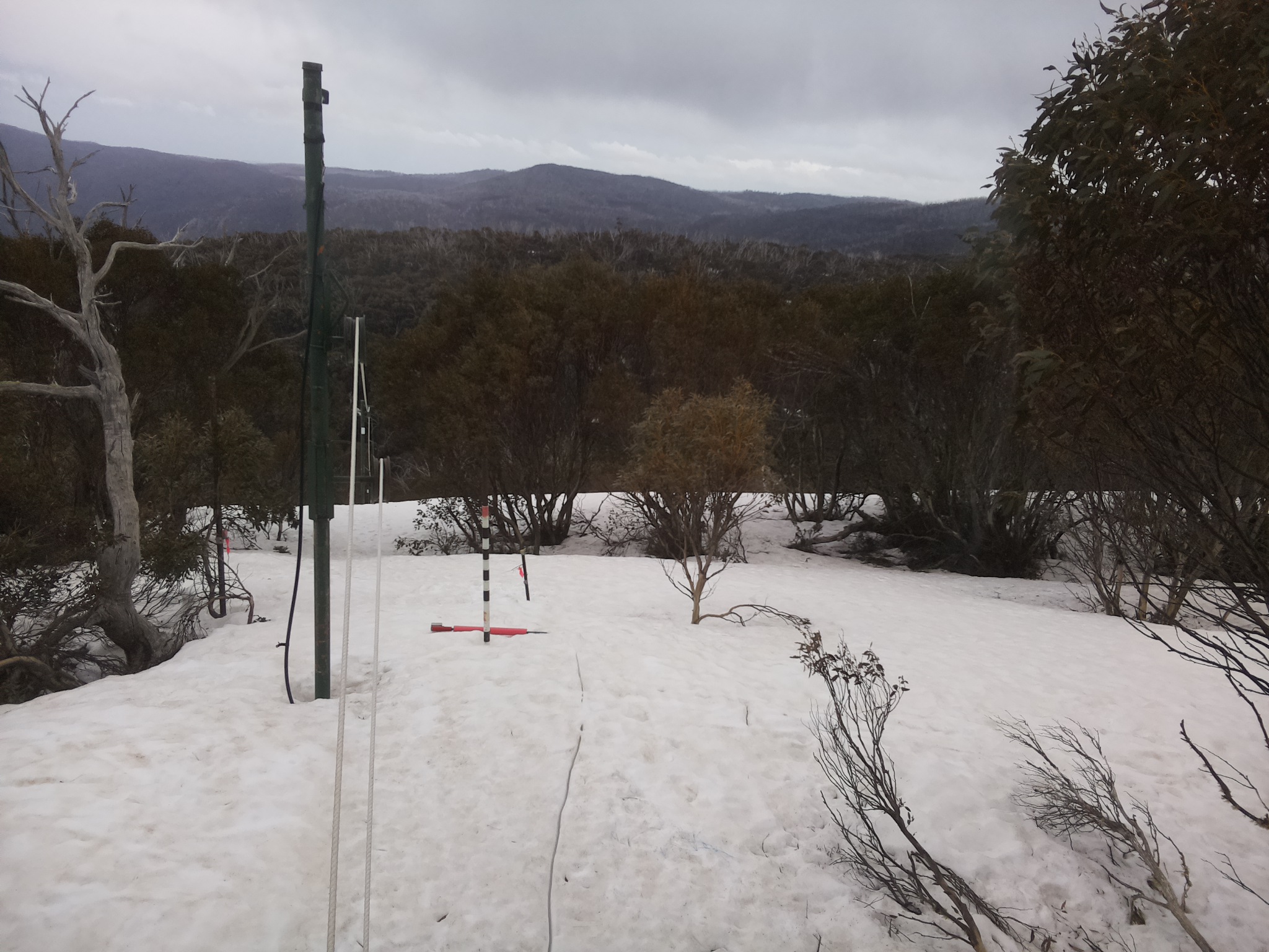 Bogong Web Cam 3:50pm Thursday 25th of September 2025