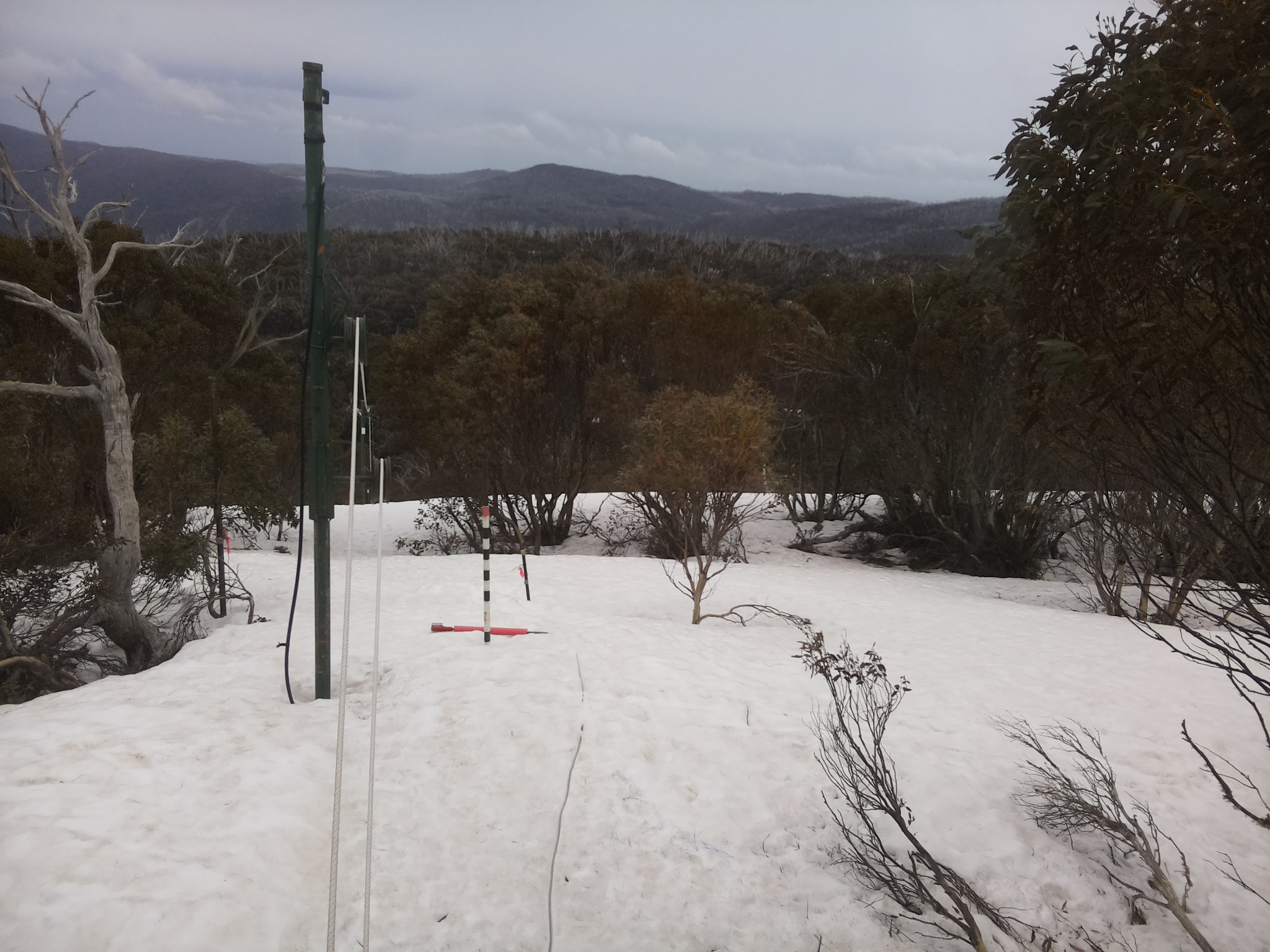 Bogong Web Cam 4:00pm Thursday 25th of September 2025