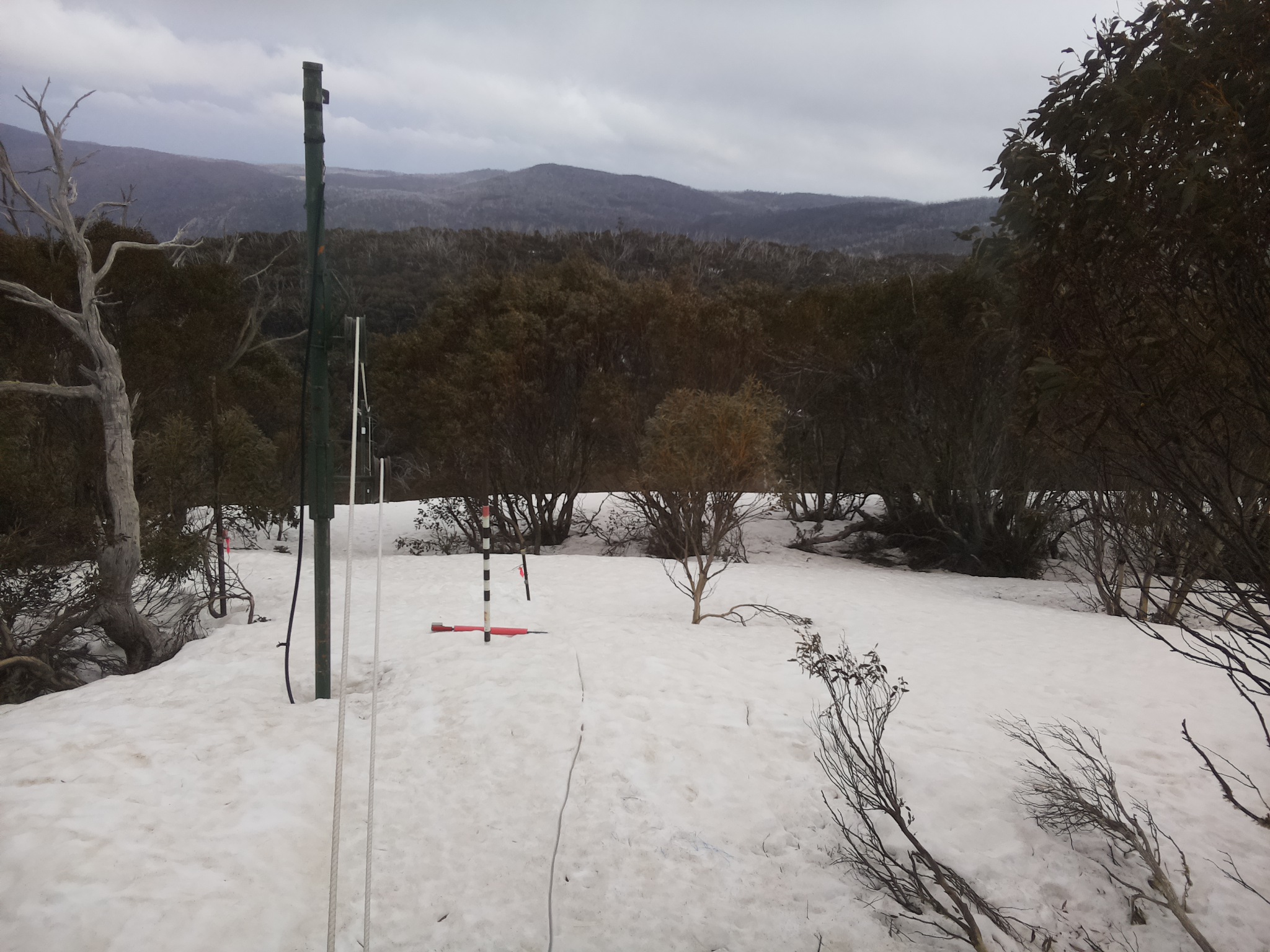 Bogong Web Cam 4:40pm Thursday 25th of September 2025