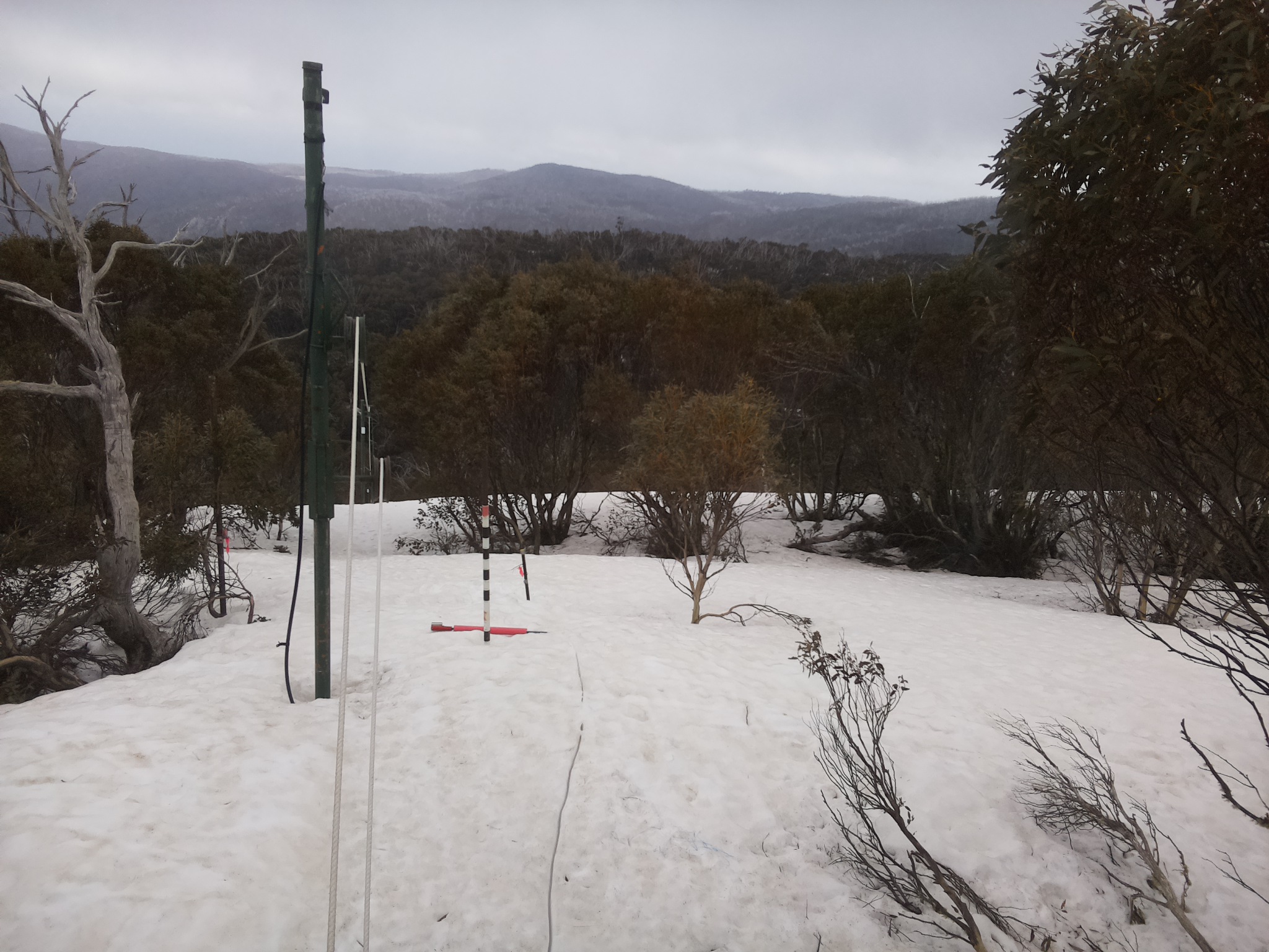 Bogong Web Cam 4:50pm Thursday 25th of September 2025