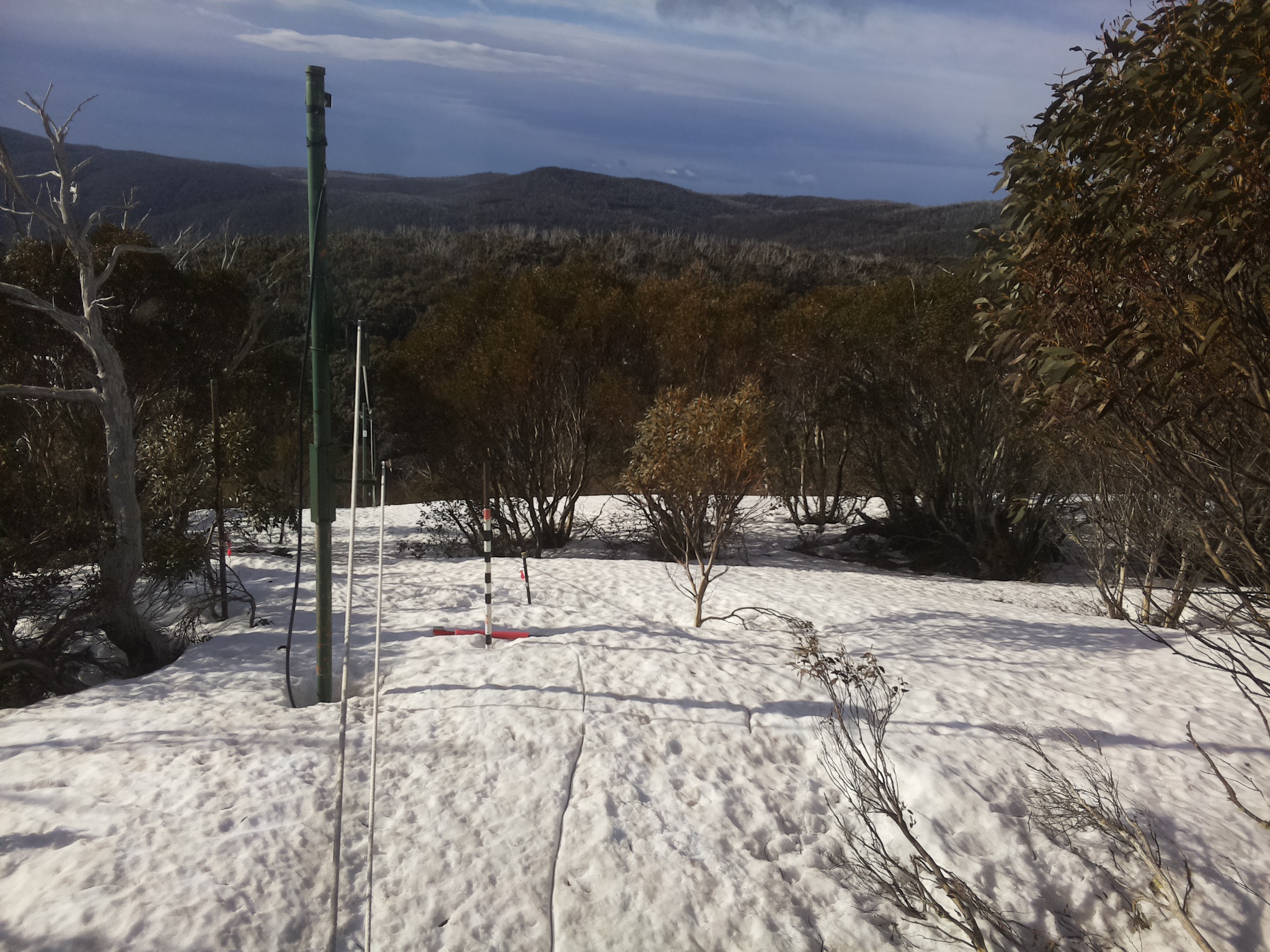 Bogong Web Cam 8:00am Friday 26th of September 2025