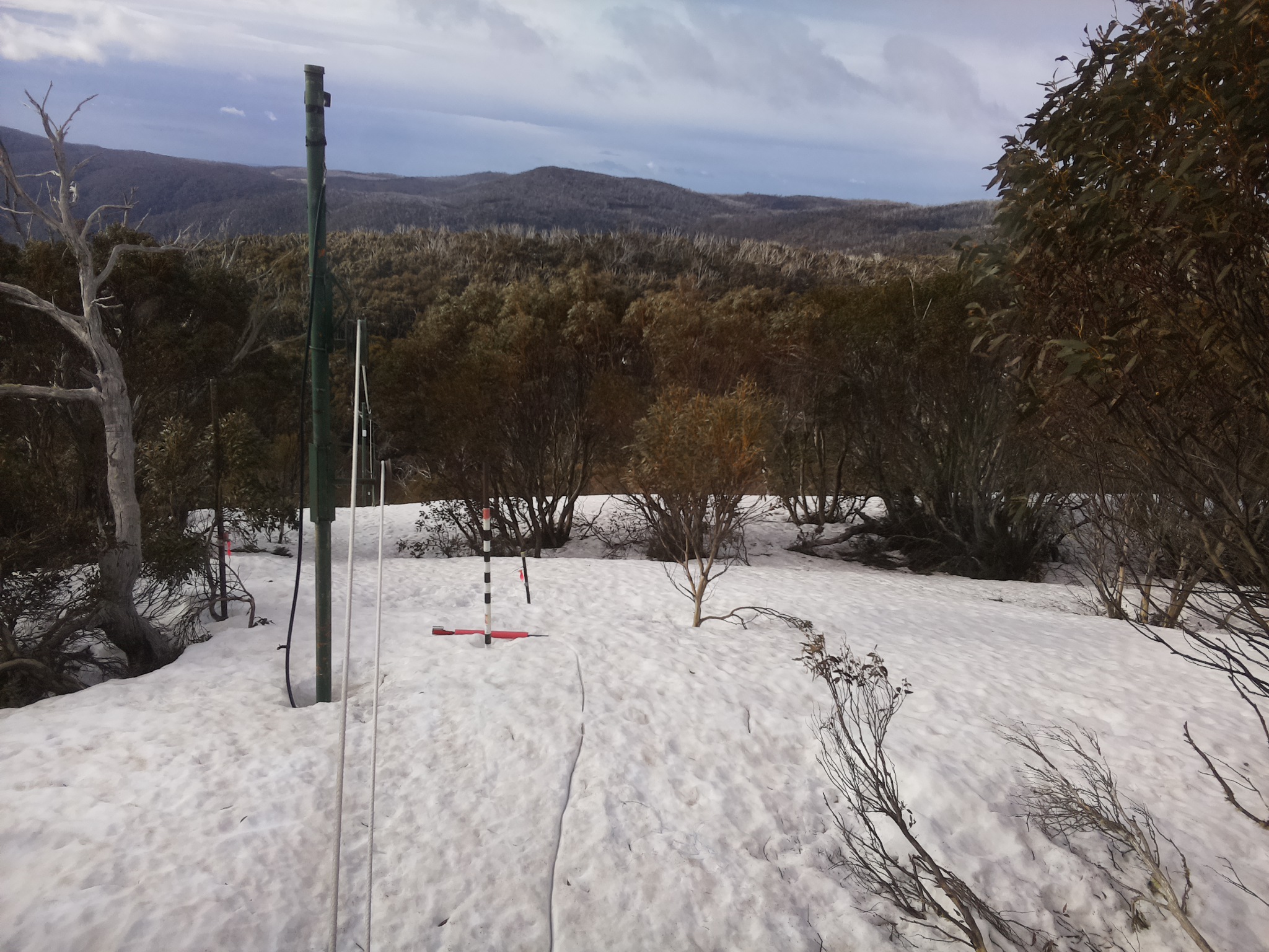 Bogong Web Cam 8:10am Friday 26th of September 2025