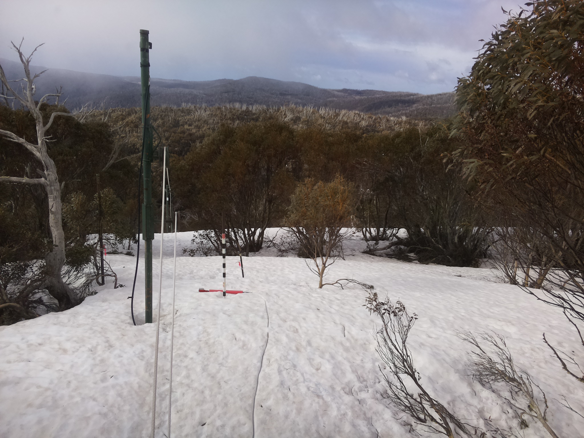 Bogong Web Cam 8:50am Friday 26th of September 2025