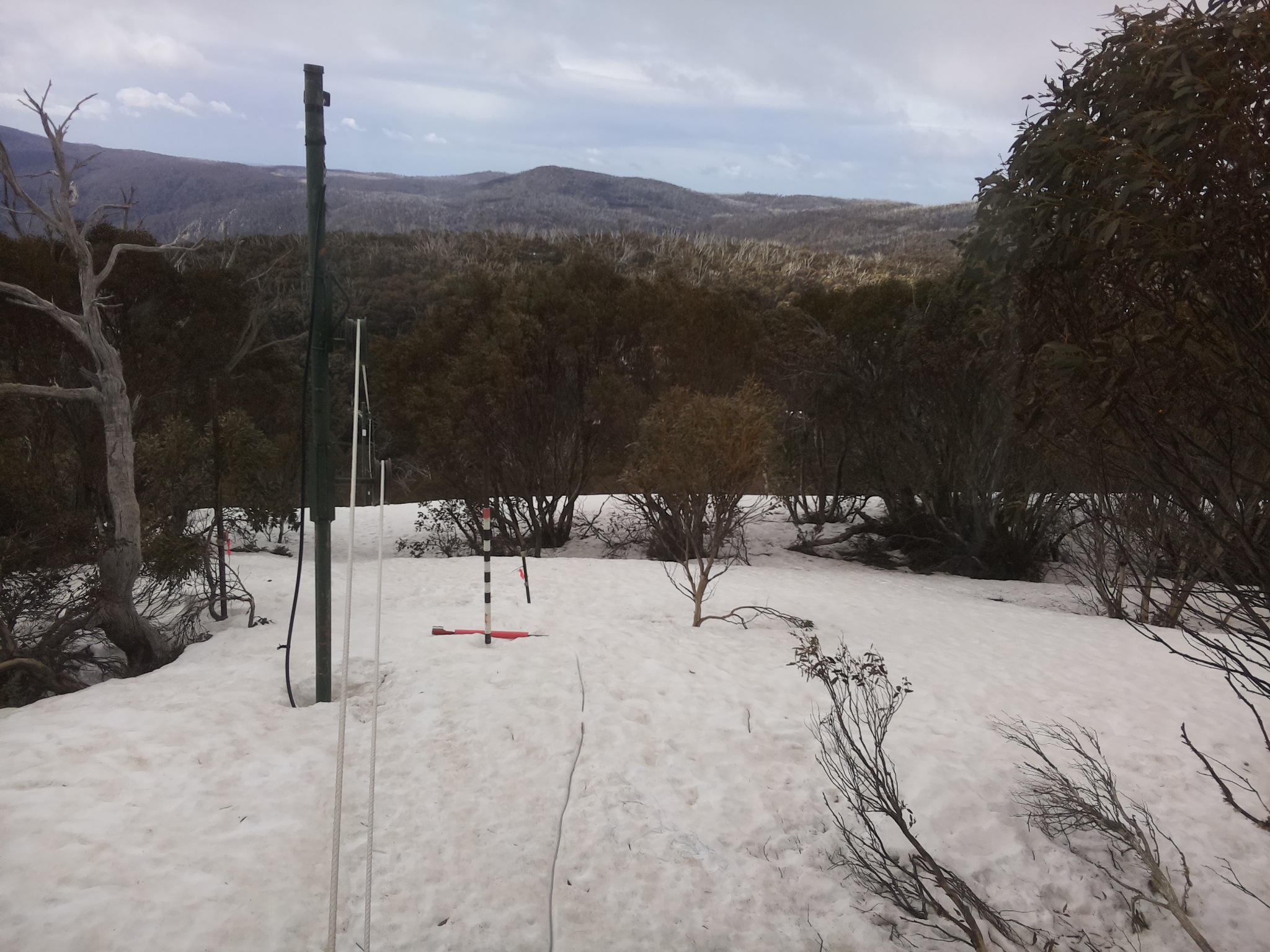 Bogong Web Cam 9:00am Friday 26th of September 2025