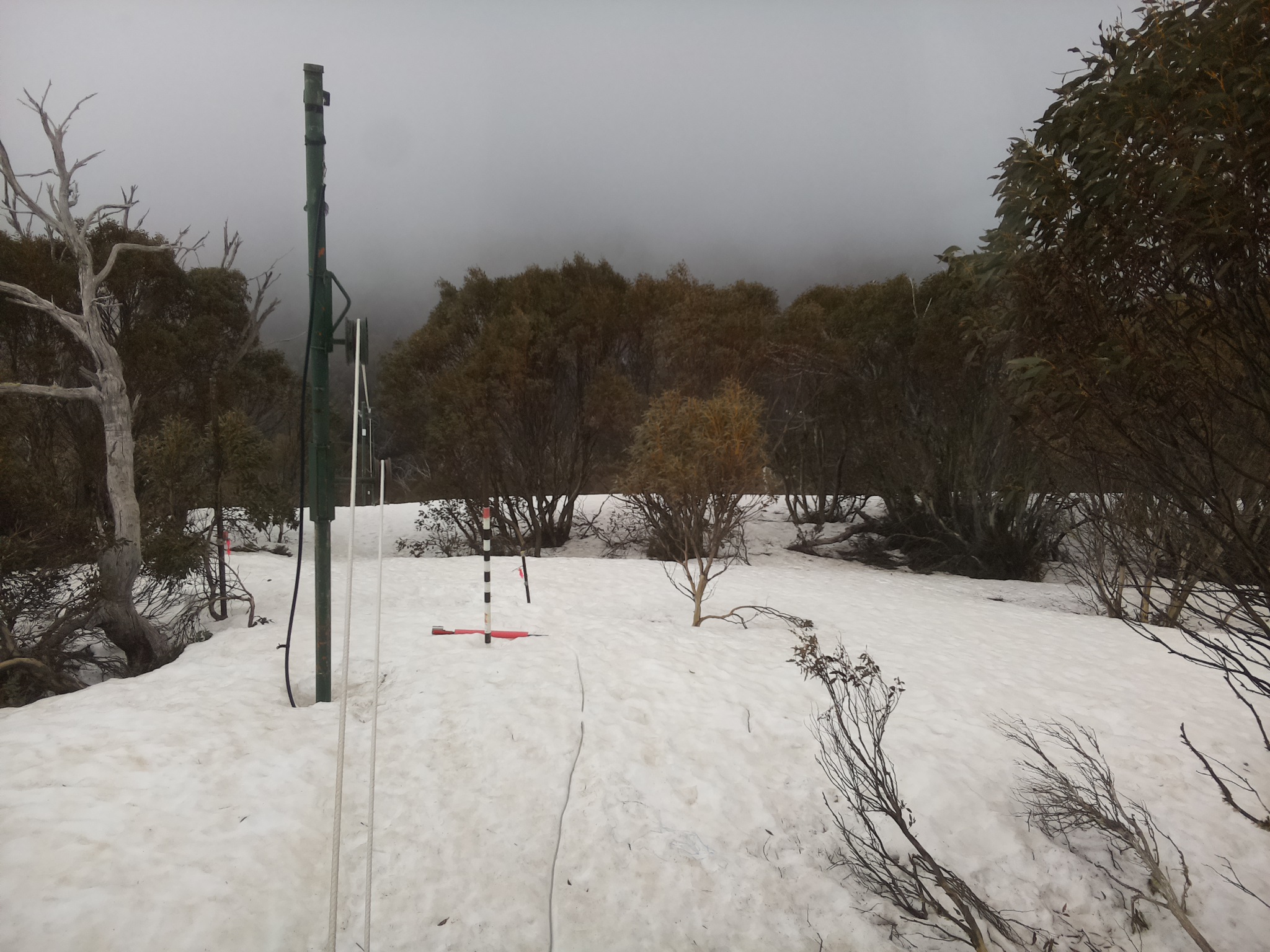 Bogong Web Cam 9:40am Friday 26th of September 2025