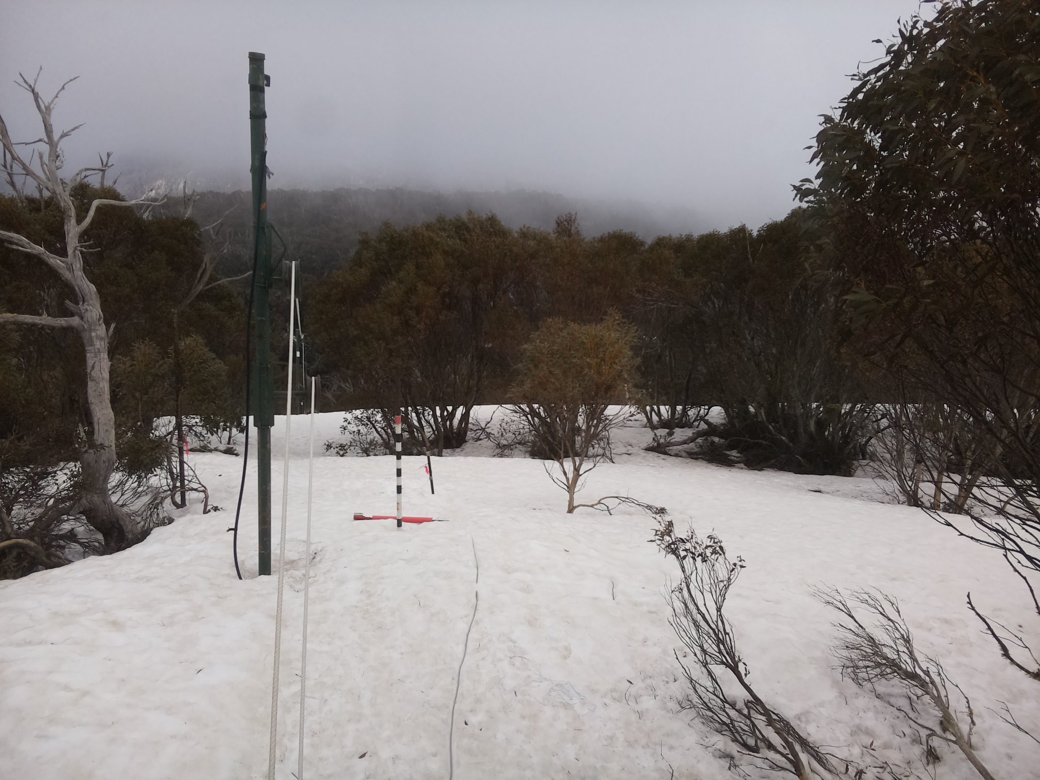 Bogong Web Cam 9:50am Friday 26th of September 2025
