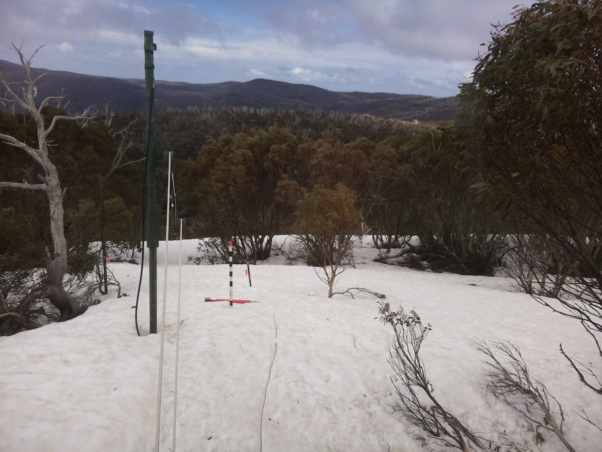 Bogong Web Cam 10:20am Friday 26th of September 2025