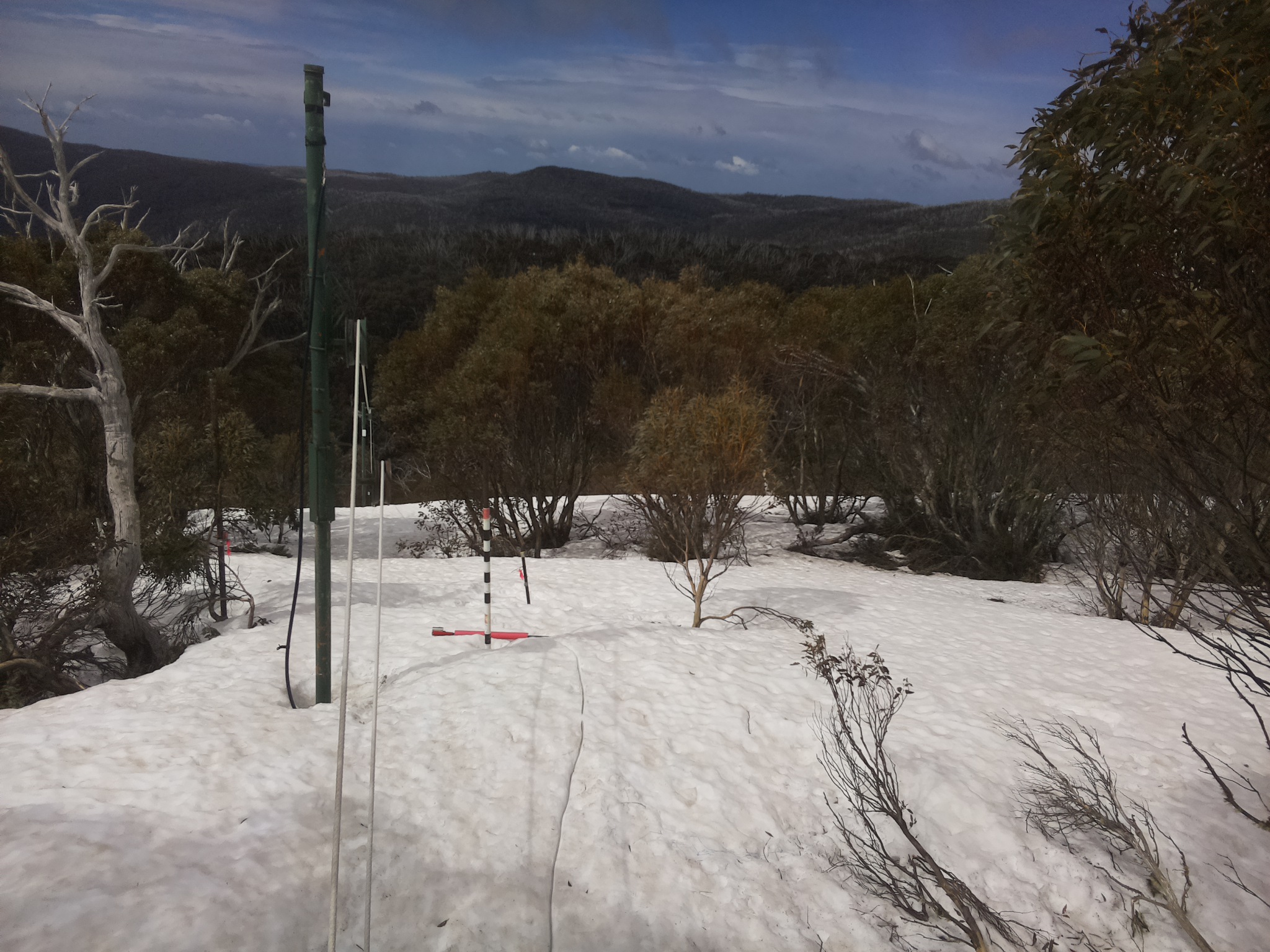 Bogong Web Cam 10:40am Friday 26th of September 2025