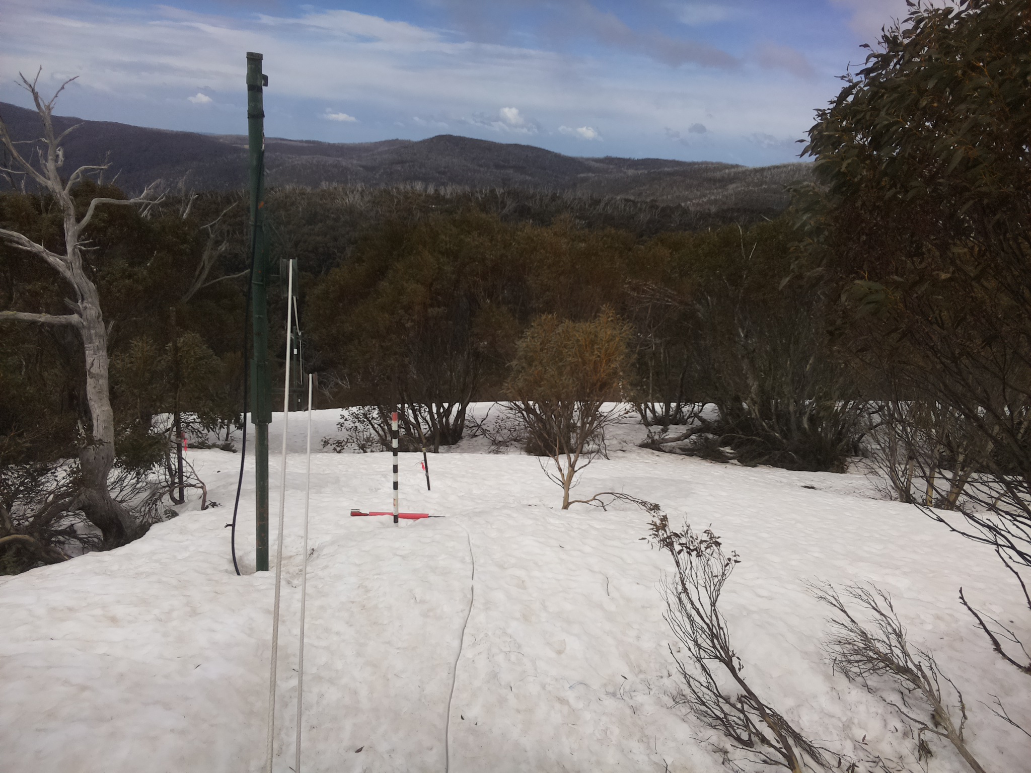 Bogong Web Cam 10:50am Friday 26th of September 2025