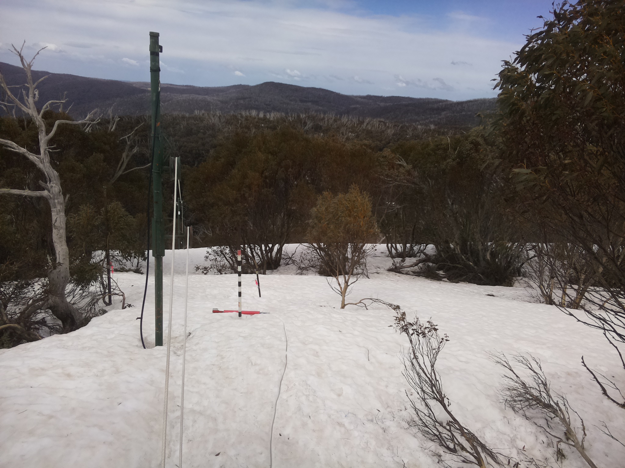 Bogong Web Cam 11:10am Friday 26th of September 2025