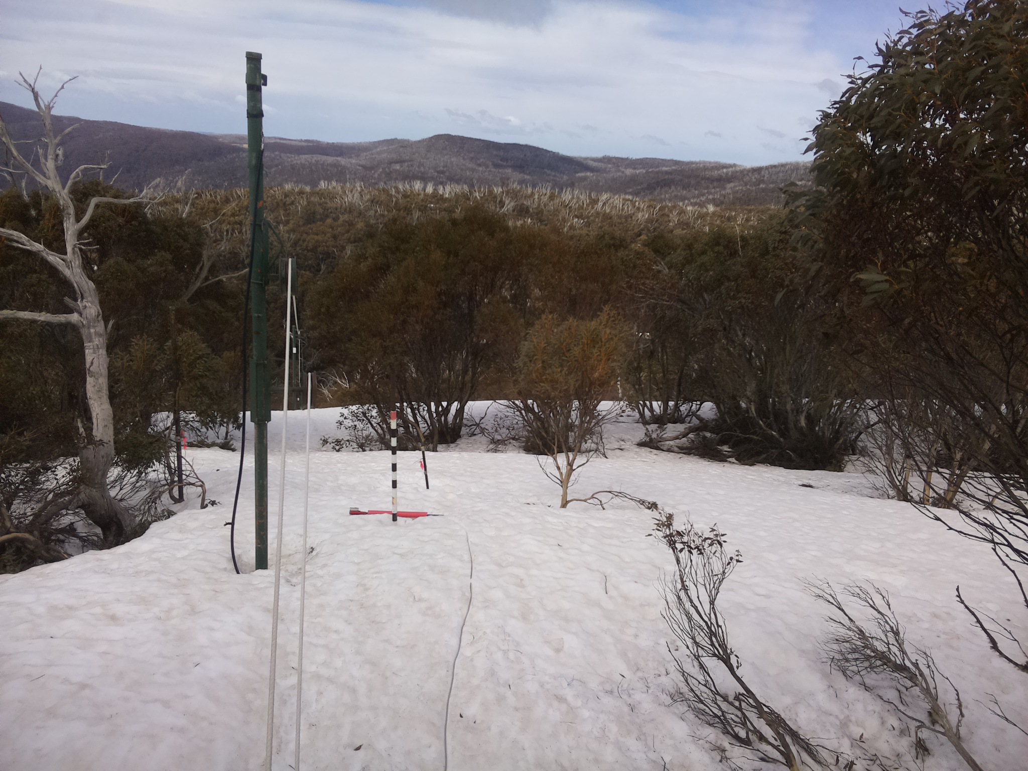 Bogong Web Cam 11:20am Friday 26th of September 2025