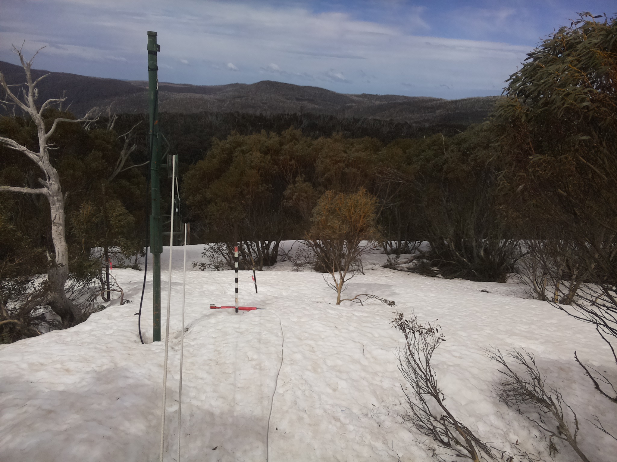 Bogong Web Cam 11:30am Friday 26th of September 2025