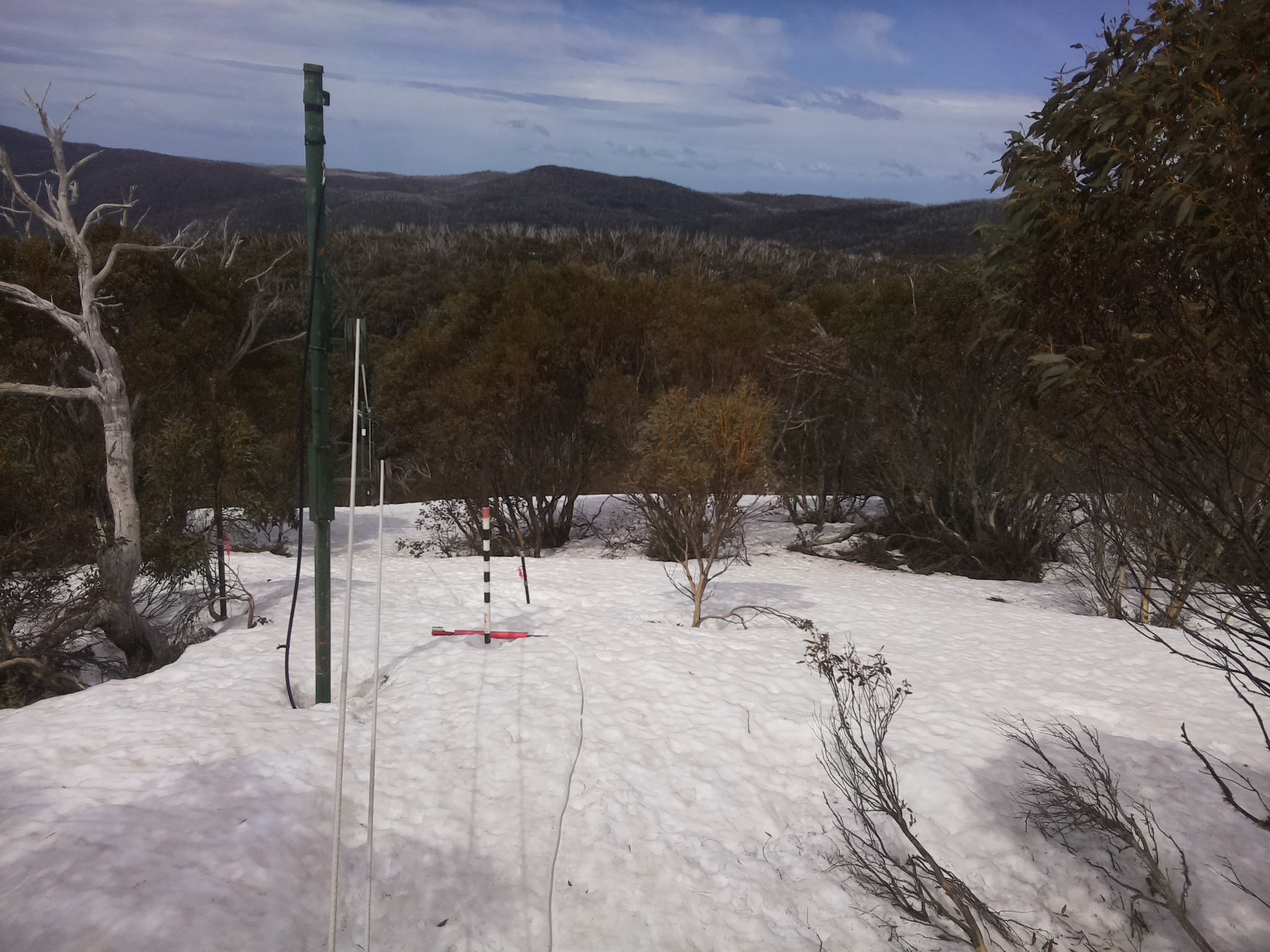 Bogong Web Cam 11:40am Friday 26th of September 2025