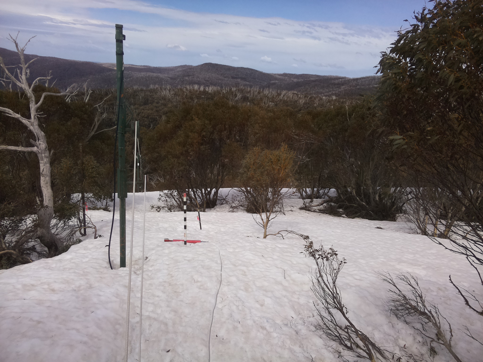 Bogong Web Cam 11:50am Friday 26th of September 2025