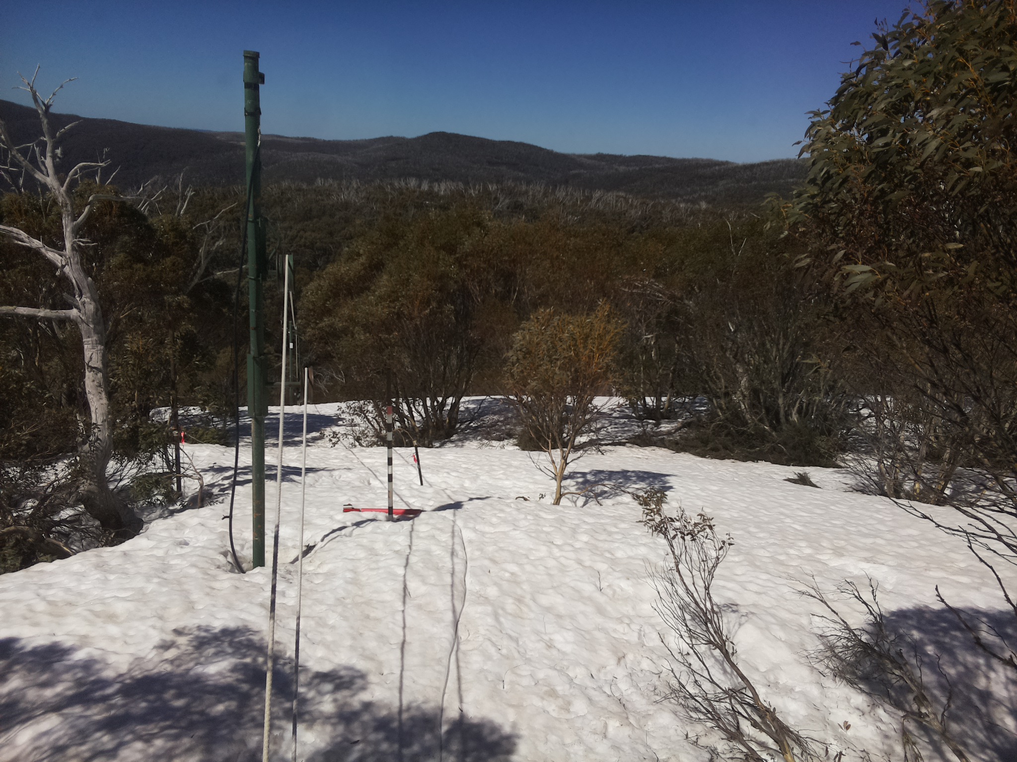 Bogong Web Cam 11:10am Saturday 27th of September 2025