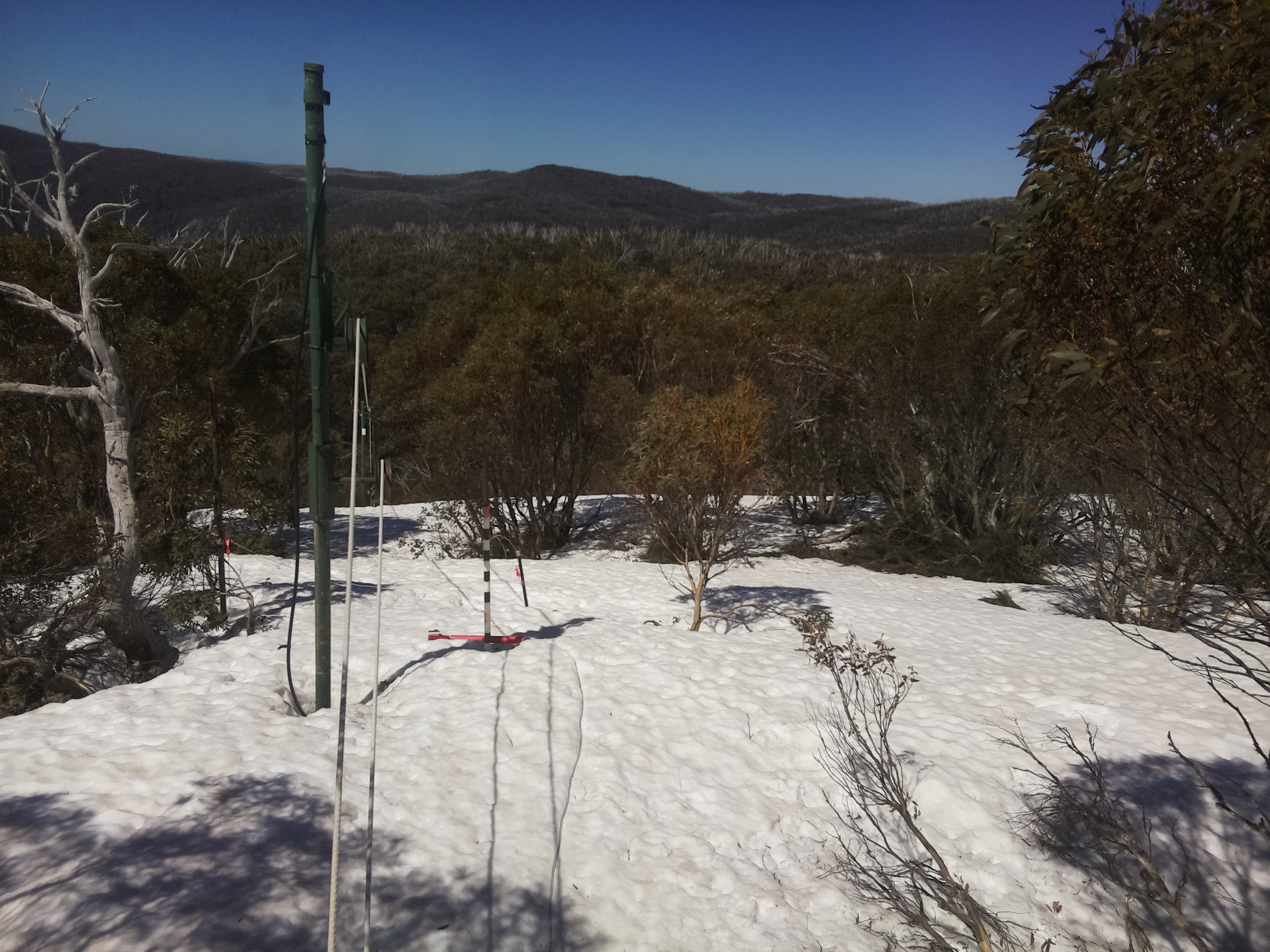 Bogong Web Cam 11:20am Saturday 27th of September 2025