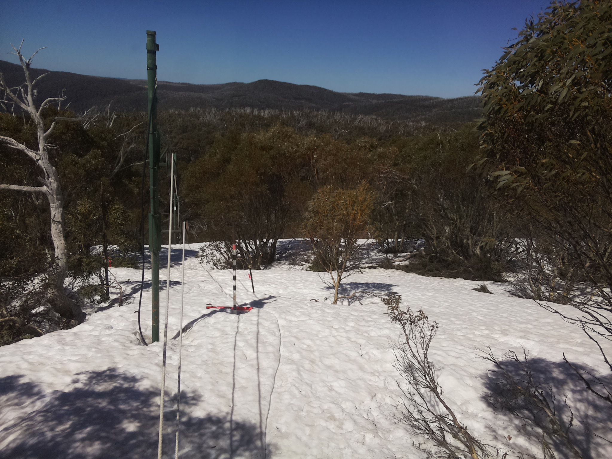 Bogong Web Cam 11:30am Saturday 27th of September 2025
