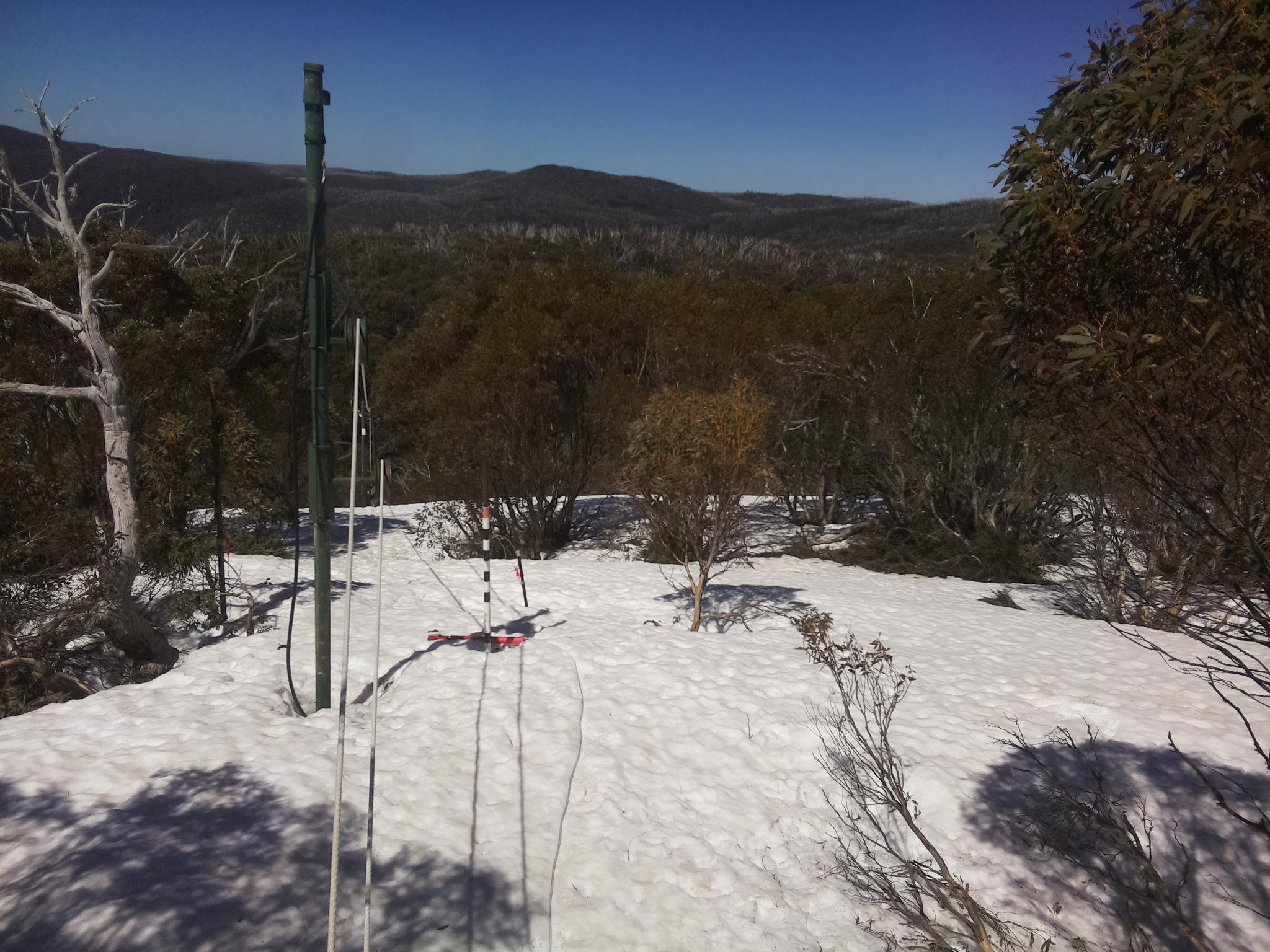 Bogong Web Cam 11:40am Saturday 27th of September 2025