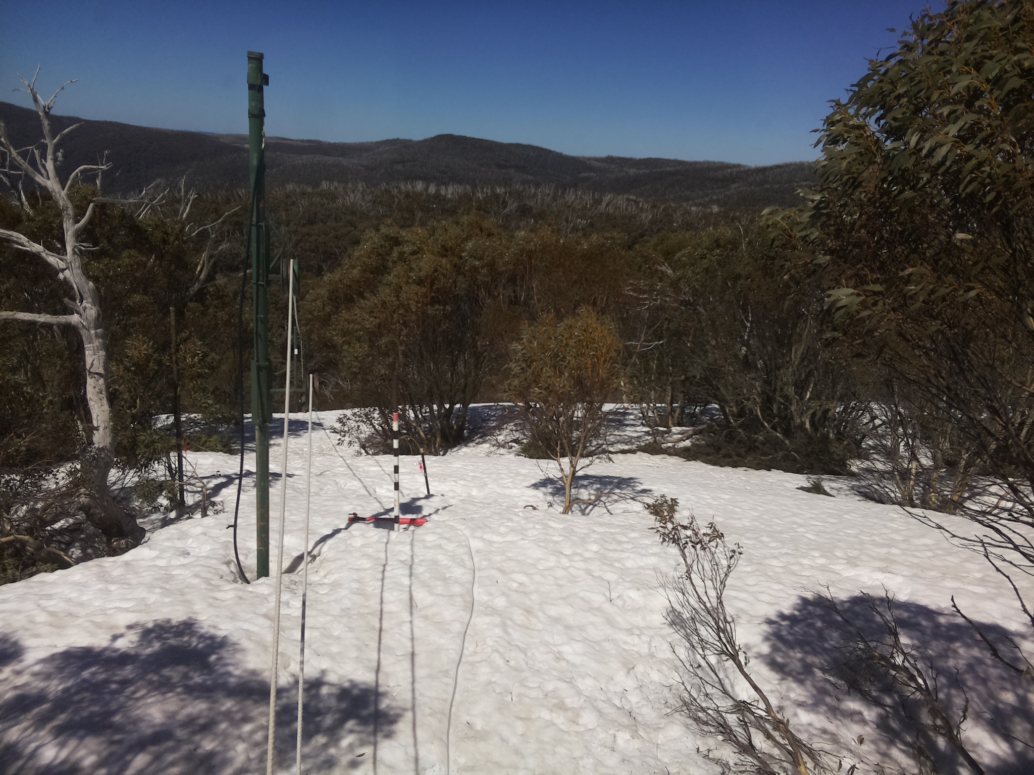 Bogong Web Cam 11:50am Saturday 27th of September 2025