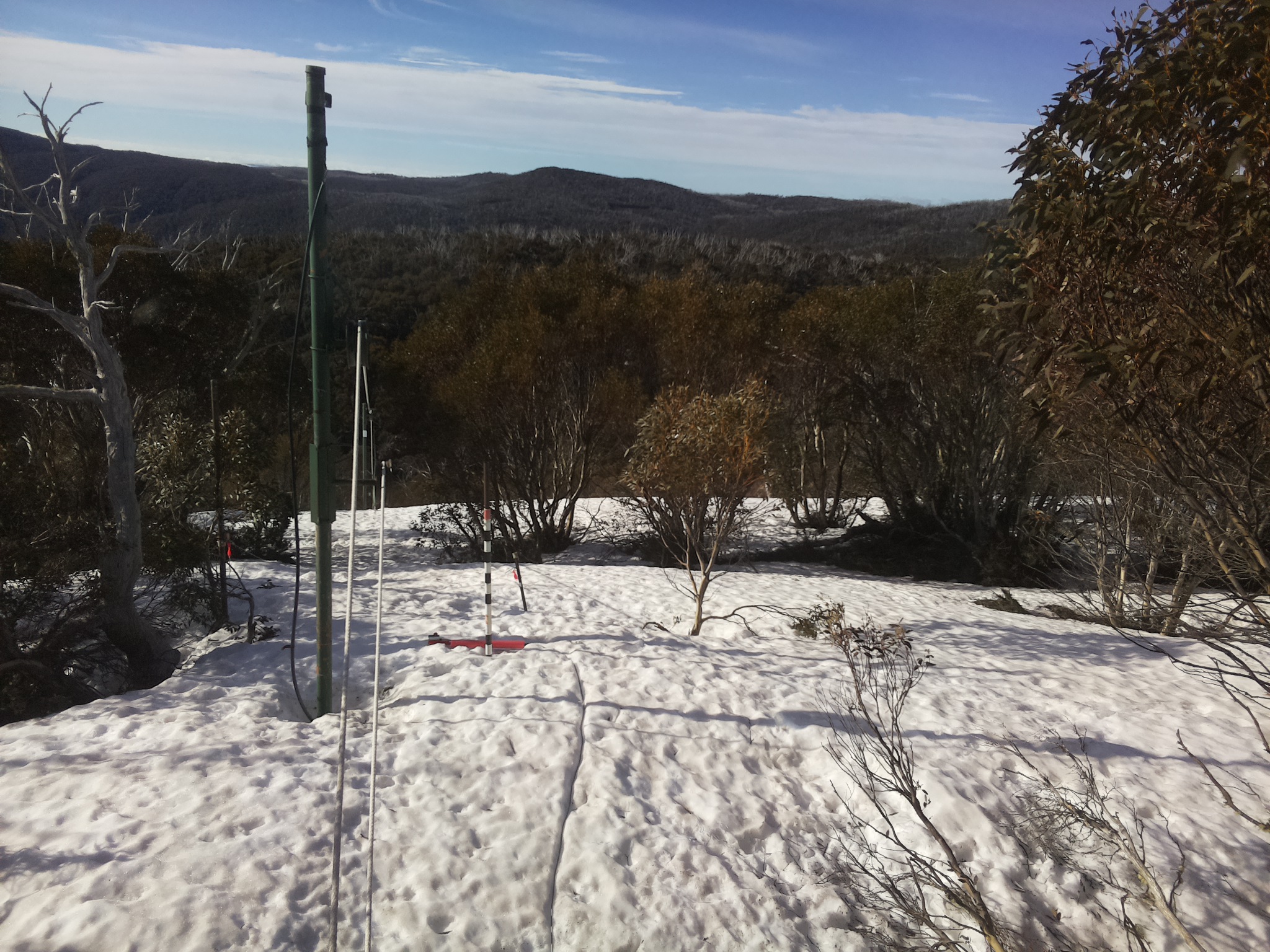 Bogong Web Cam 8:00am Sunday 28th of September 2025