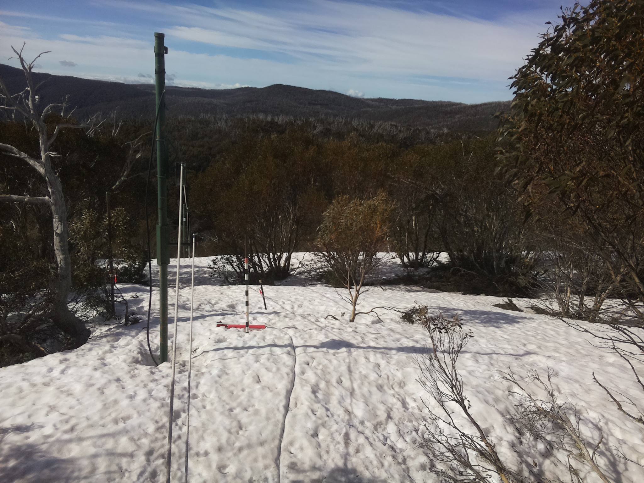Bogong Web Cam 9:00am Sunday 28th of September 2025