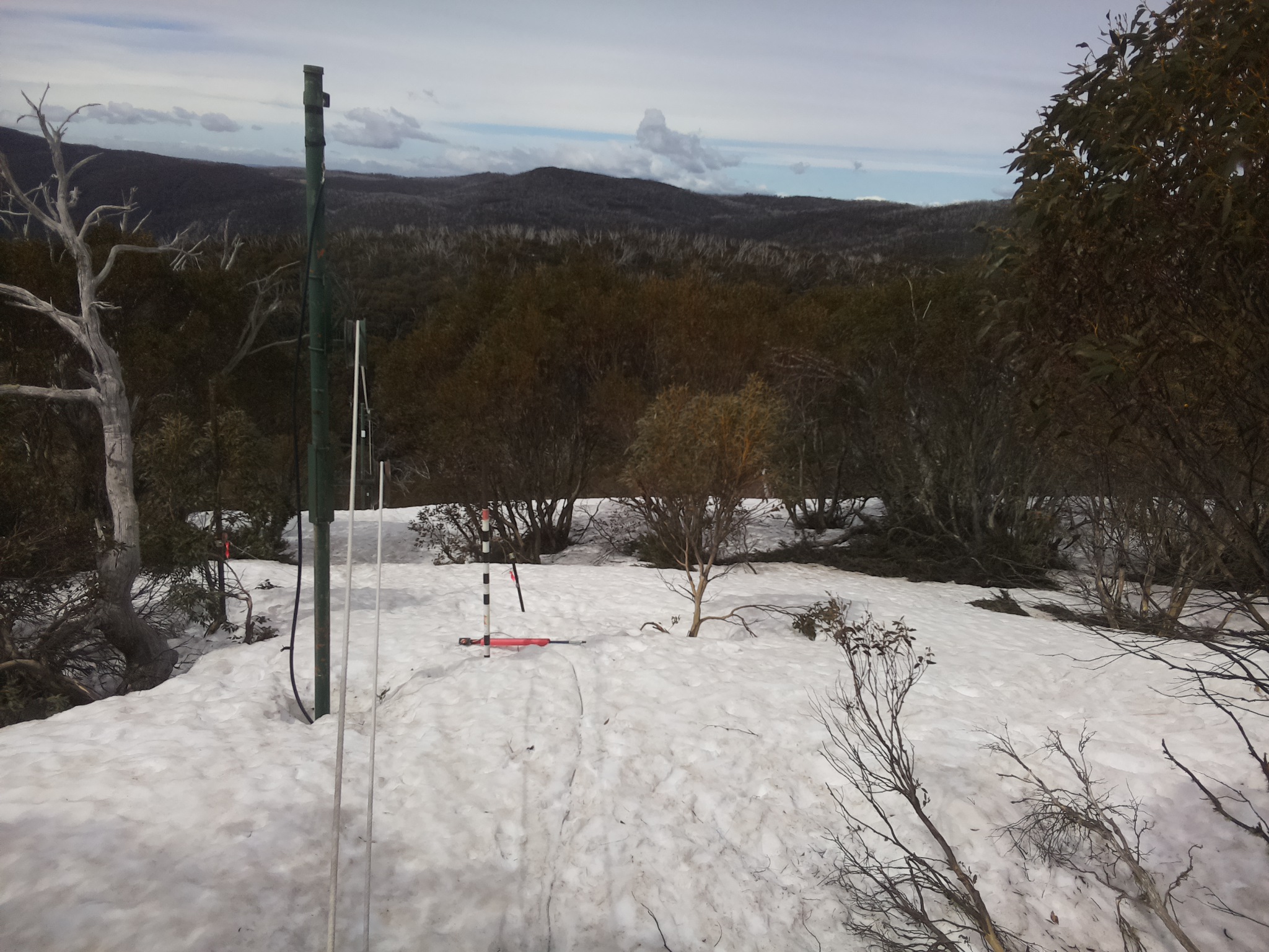 Bogong Web Cam 10:50am Sunday 28th of September 2025