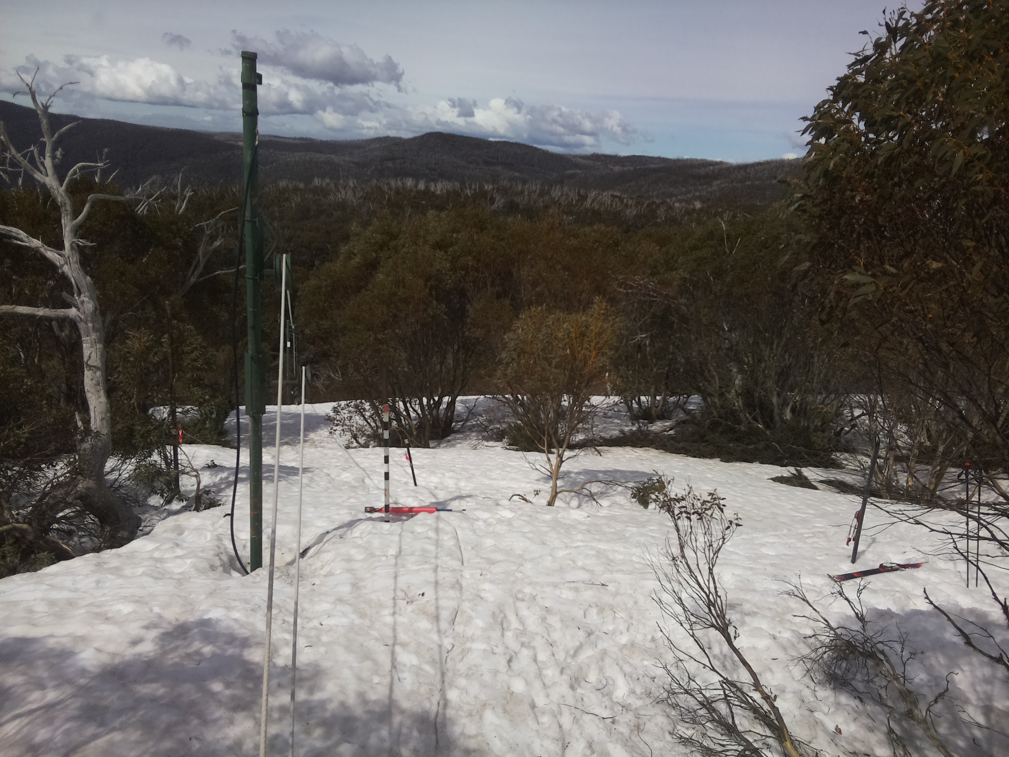Bogong Web Cam 11:20am Sunday 28th of September 2025