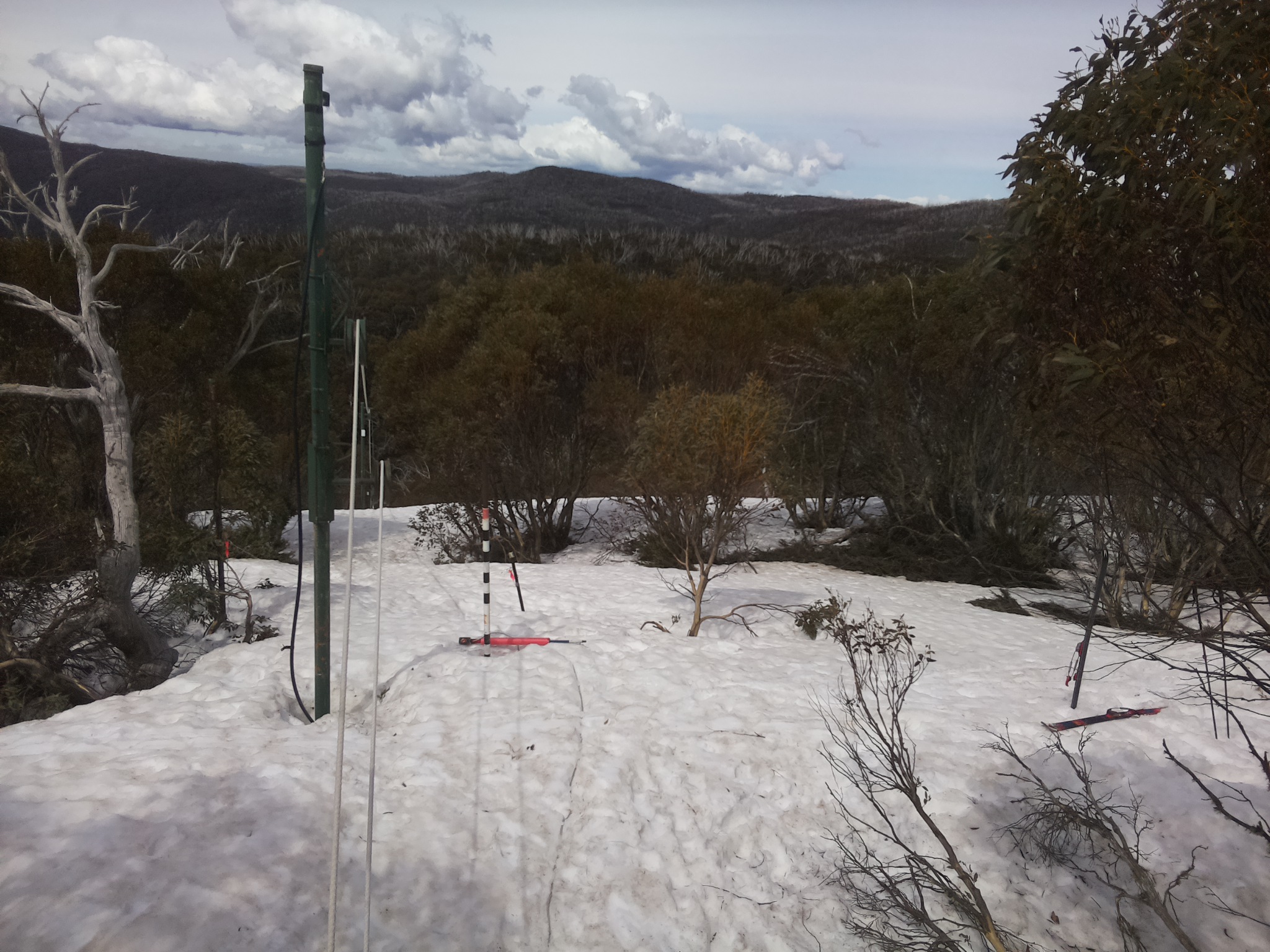 Bogong Web Cam 11:40am Sunday 28th of September 2025