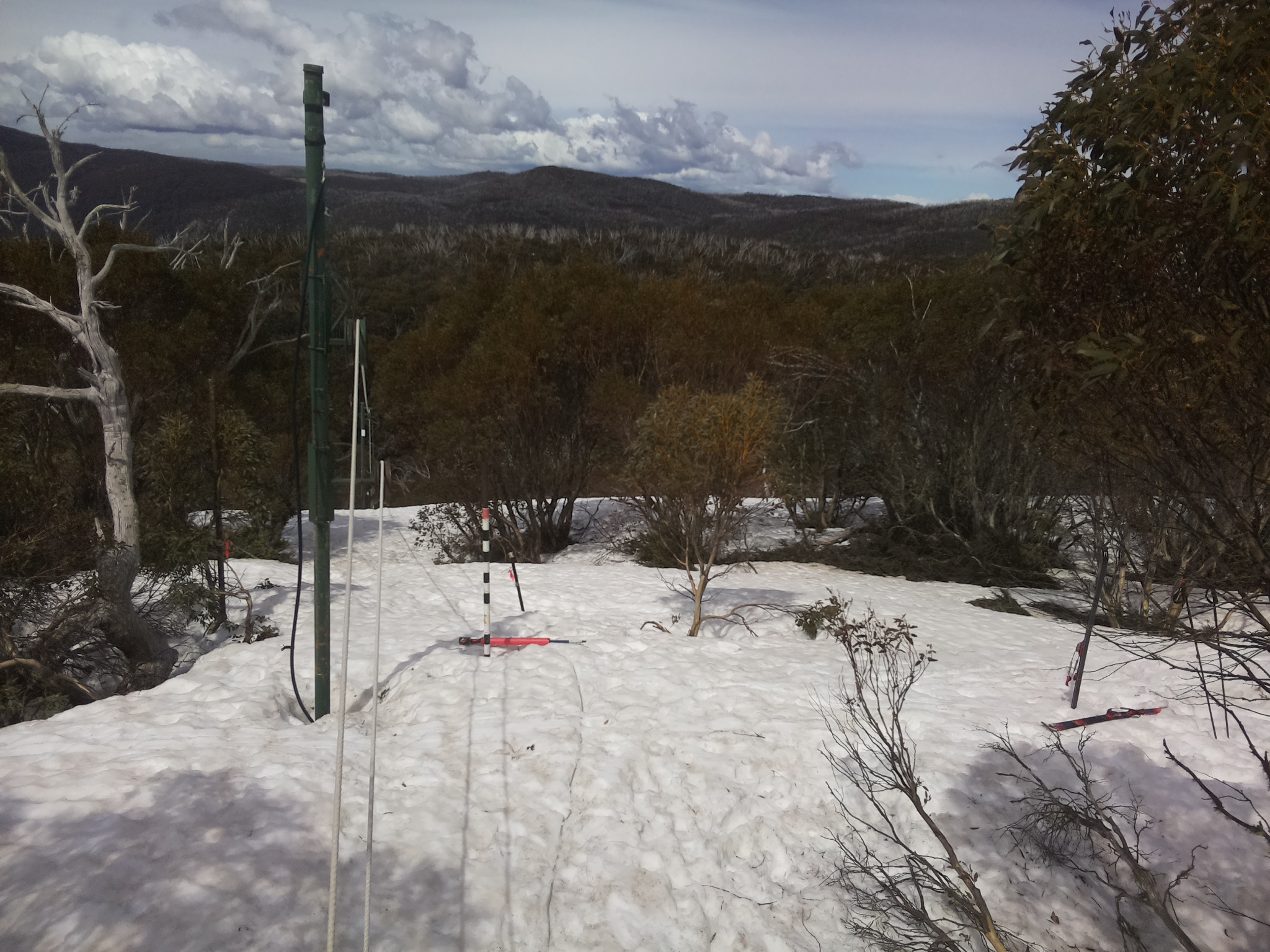 Bogong Web Cam 11:50am Sunday 28th of September 2025
