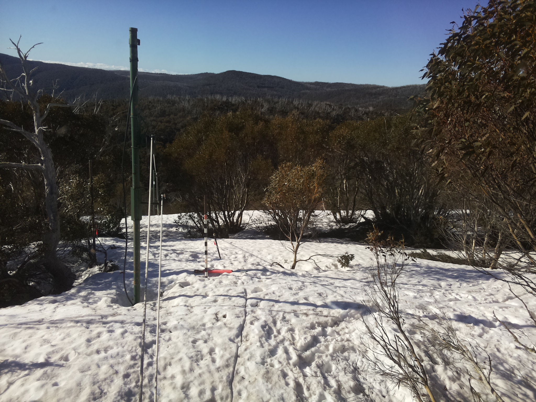 Bogong Web Cam 8:00am Monday 29th of September 2025