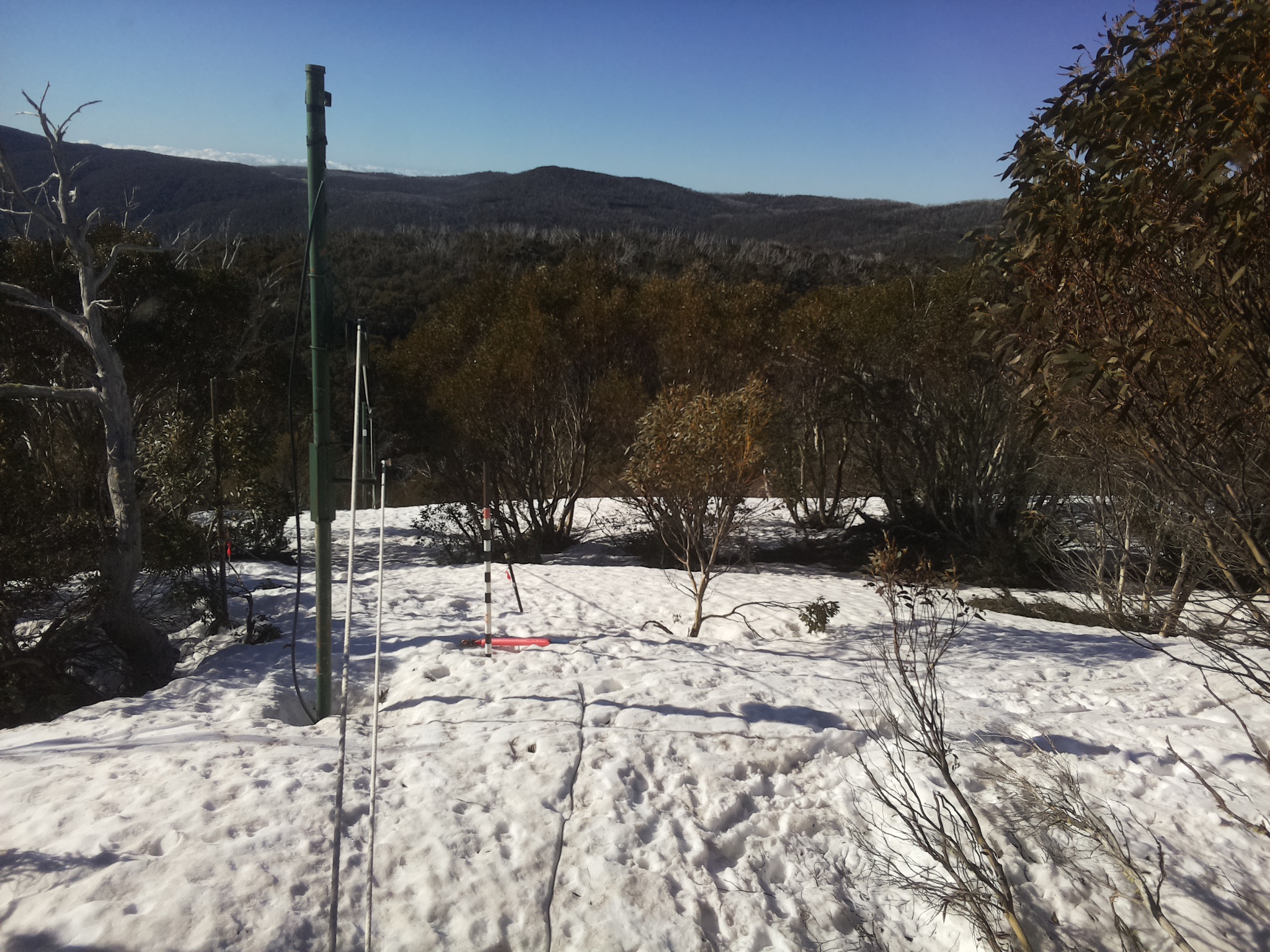 Bogong Web Cam 8:10am Monday 29th of September 2025