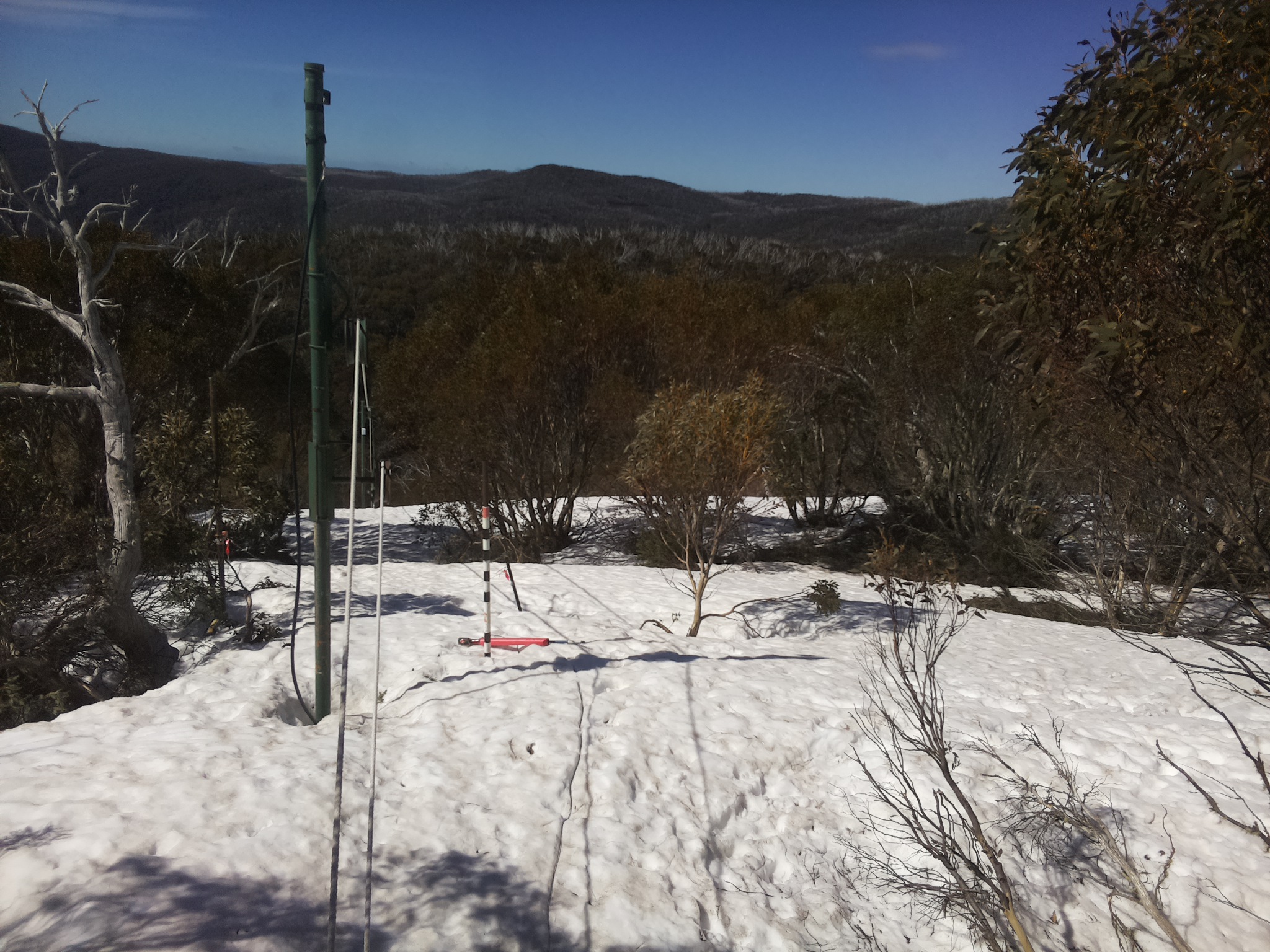 Bogong Web Cam 10:00am Monday 29th of September 2025
