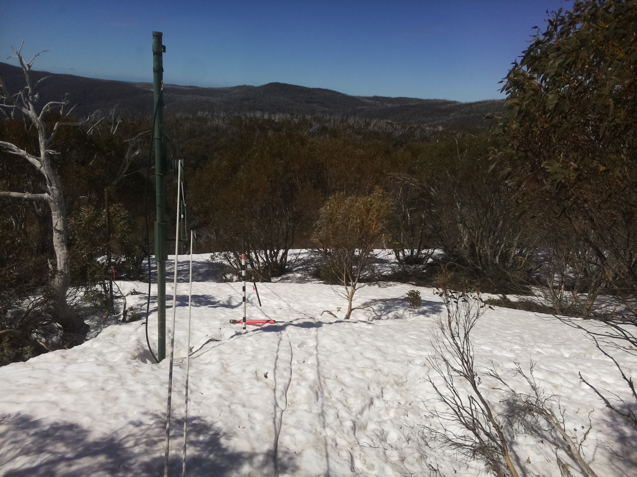 Bogong Web Cam 10:30am Monday 29th of September 2025