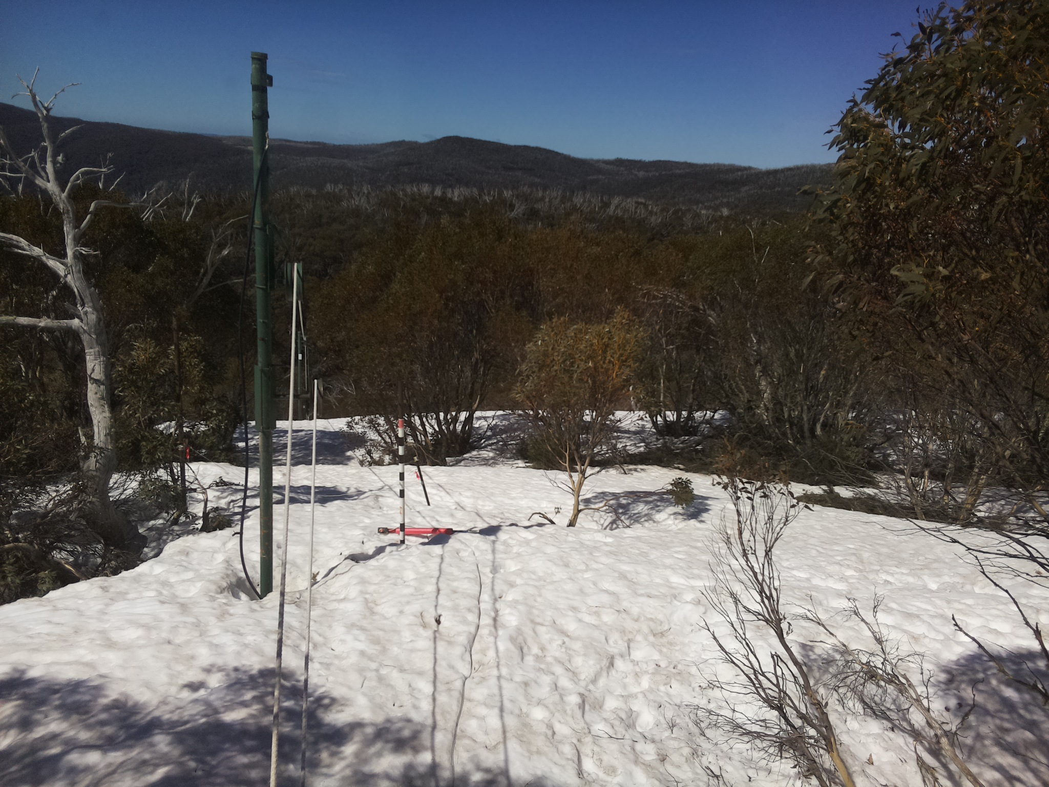 Bogong Web Cam 10:50am Monday 29th of September 2025