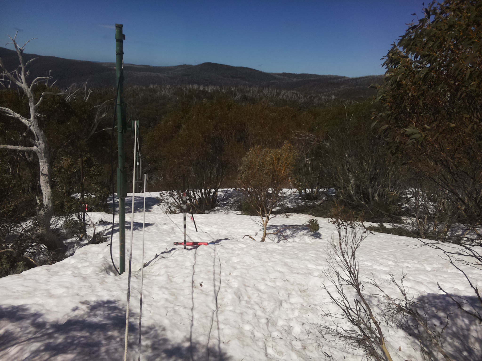 Bogong Web Cam 11:10am Monday 29th of September 2025