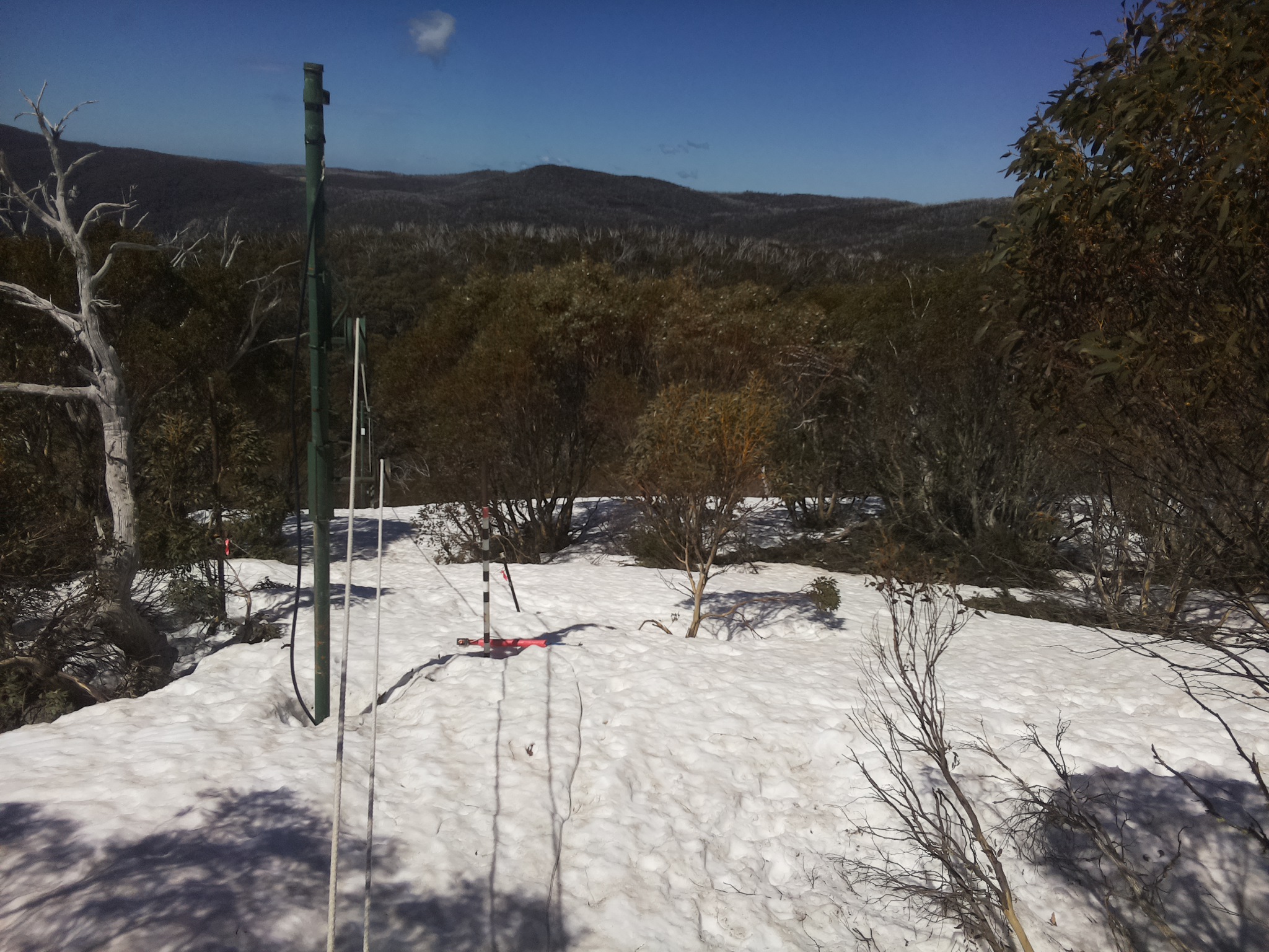 Bogong Web Cam 11:20am Monday 29th of September 2025