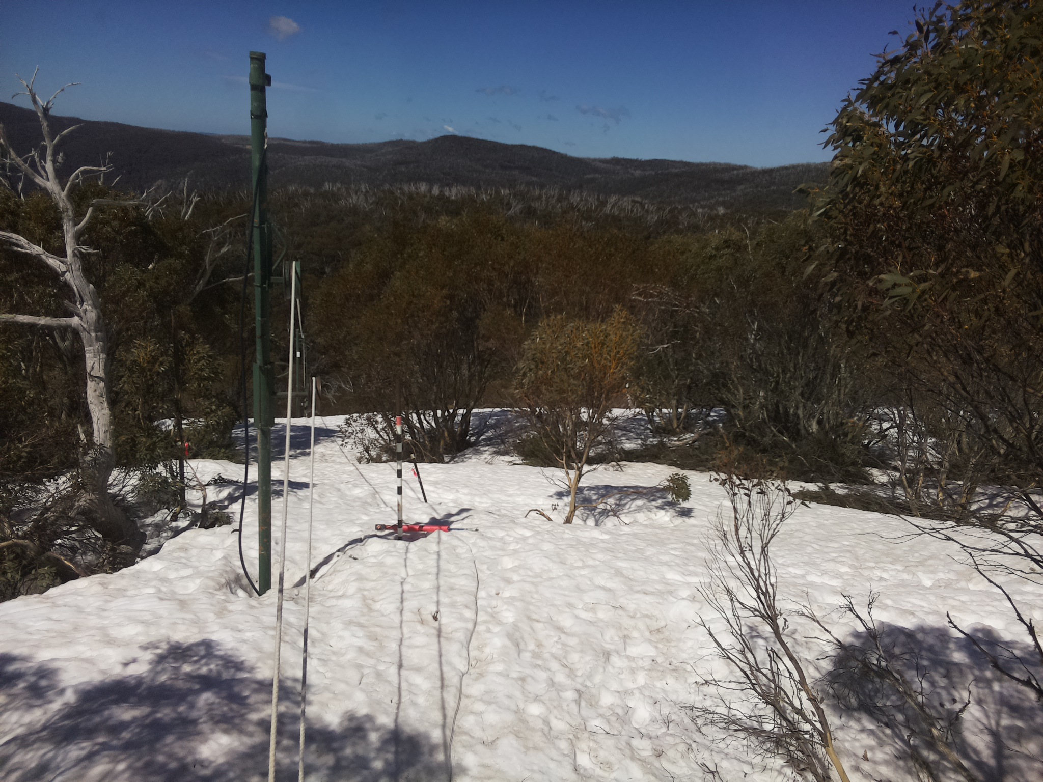 Bogong Web Cam 11:30am Monday 29th of September 2025