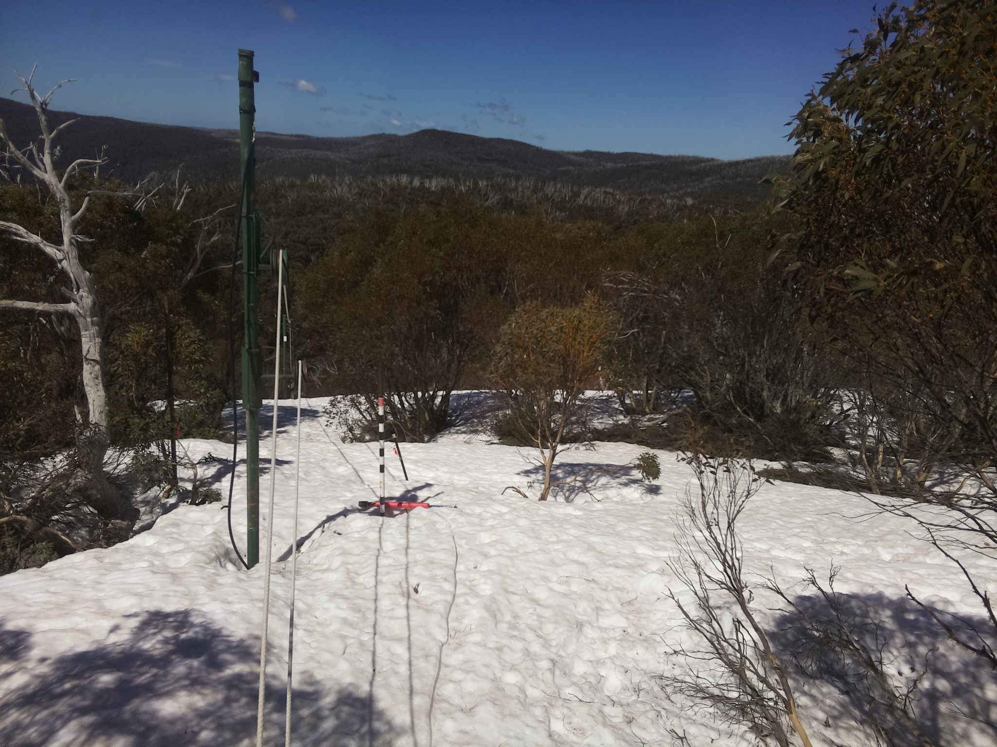 Bogong Web Cam 11:40am Monday 29th of September 2025
