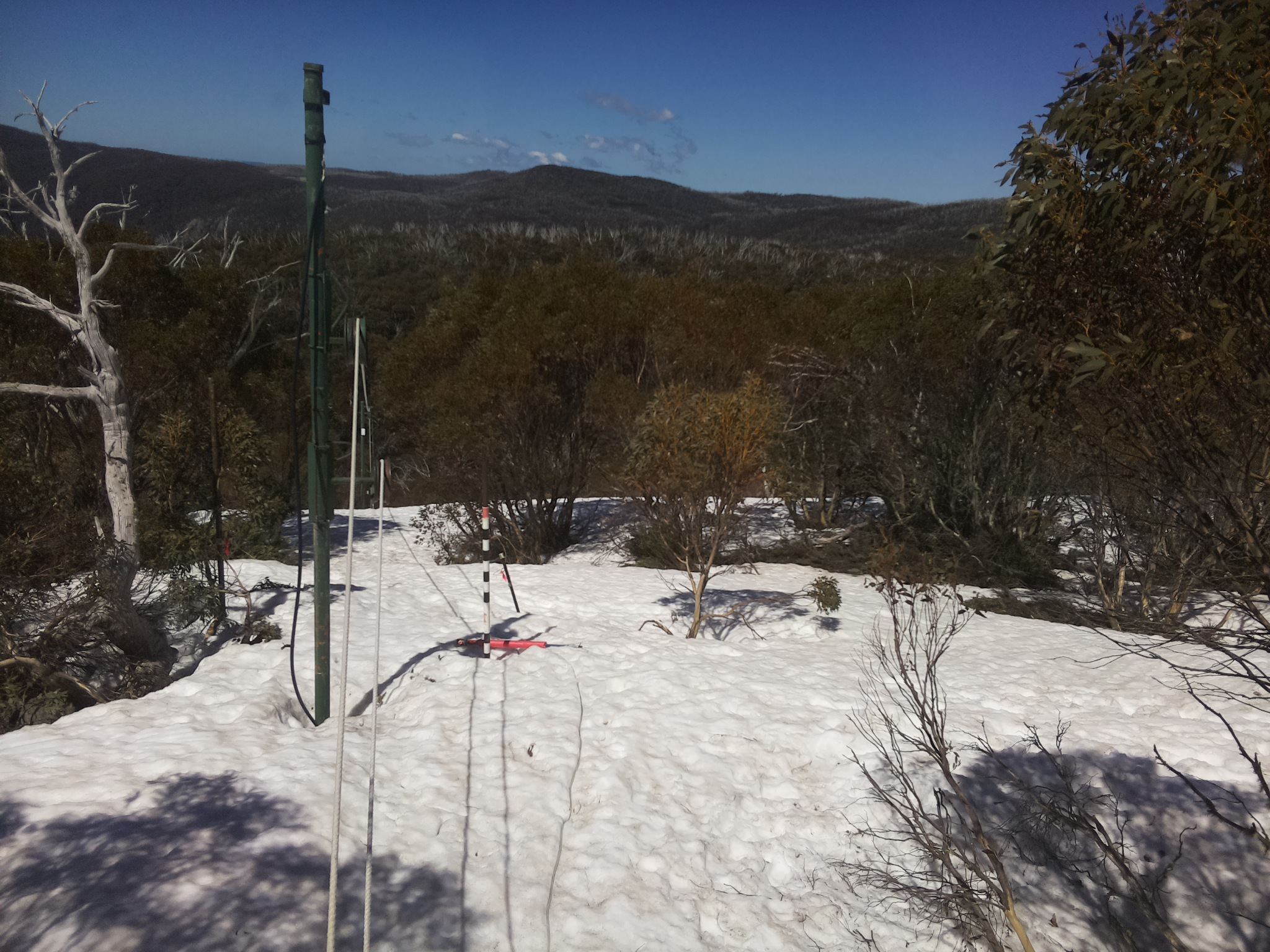 Bogong Web Cam 11:50am Monday 29th of September 2025