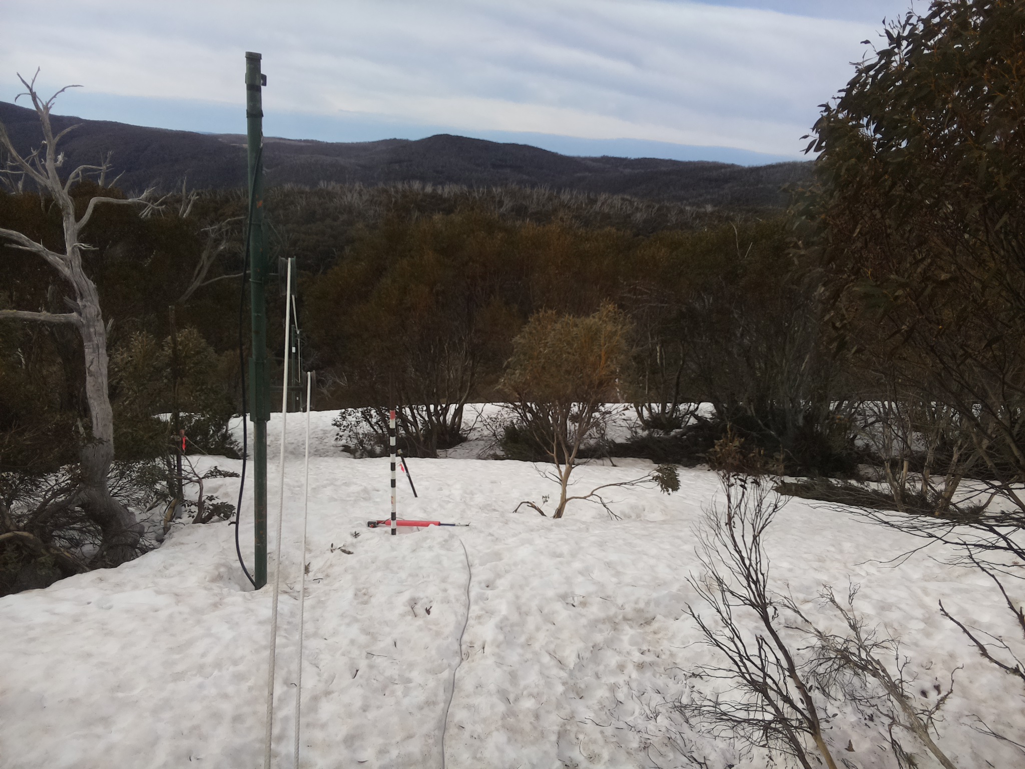 Bogong Web Cam 8:00am Tuesday 30th of September 2025