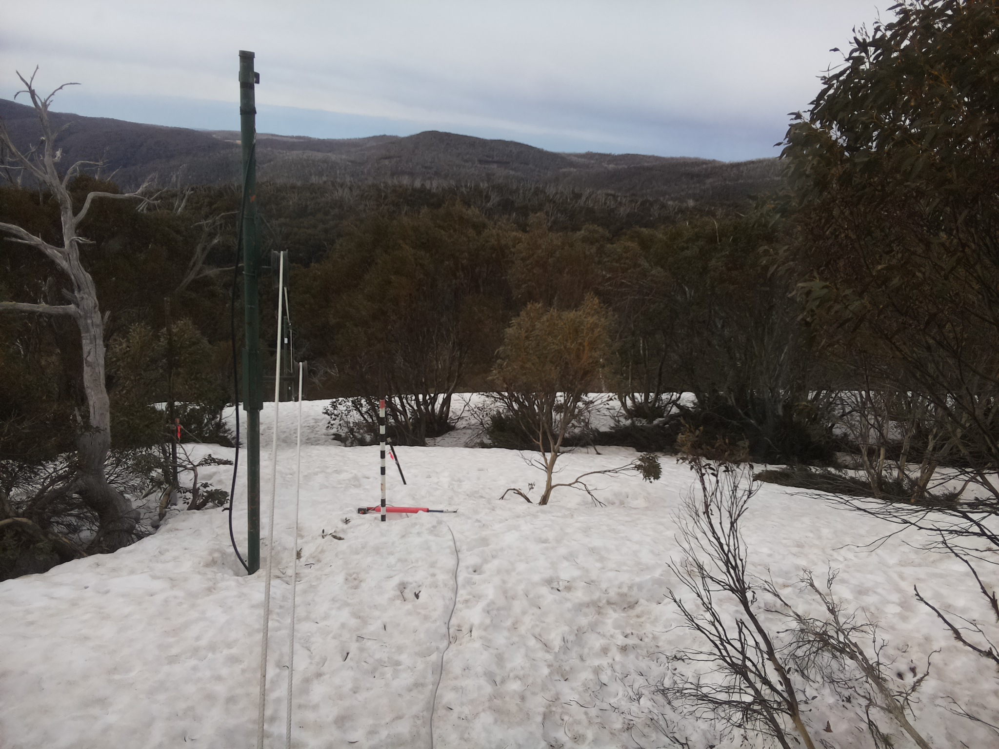 Bogong Web Cam 8:30am Tuesday 30th of September 2025