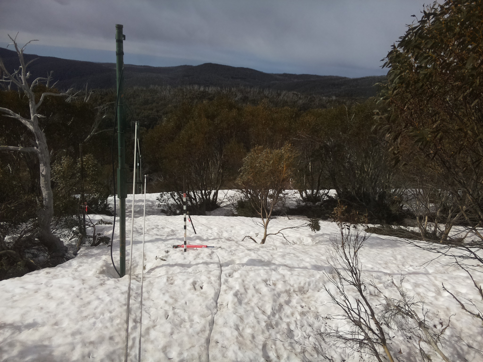 Bogong Web Cam 8:50am Tuesday 30th of September 2025