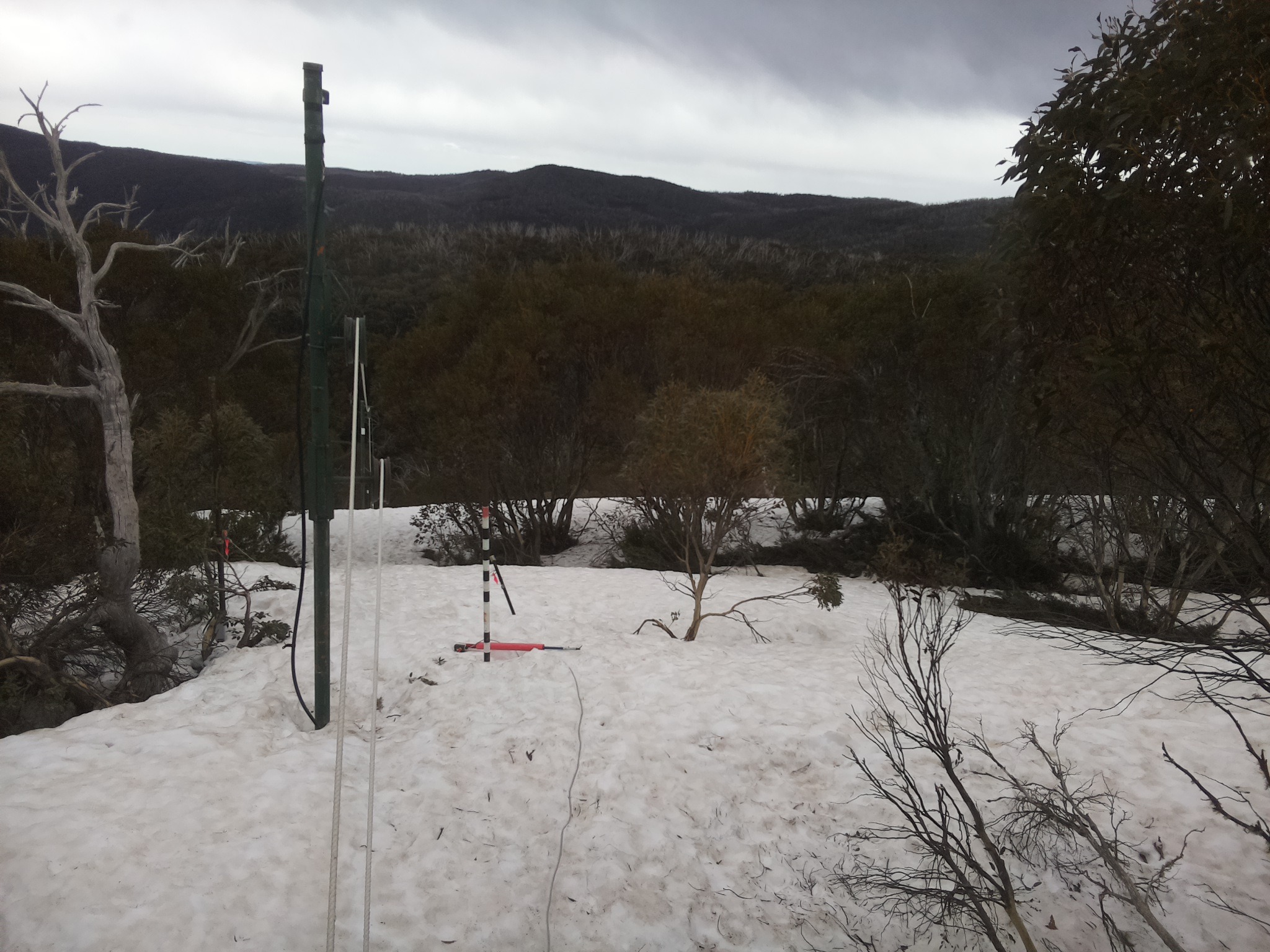 Bogong Web Cam 10:30am Tuesday 30th of September 2025